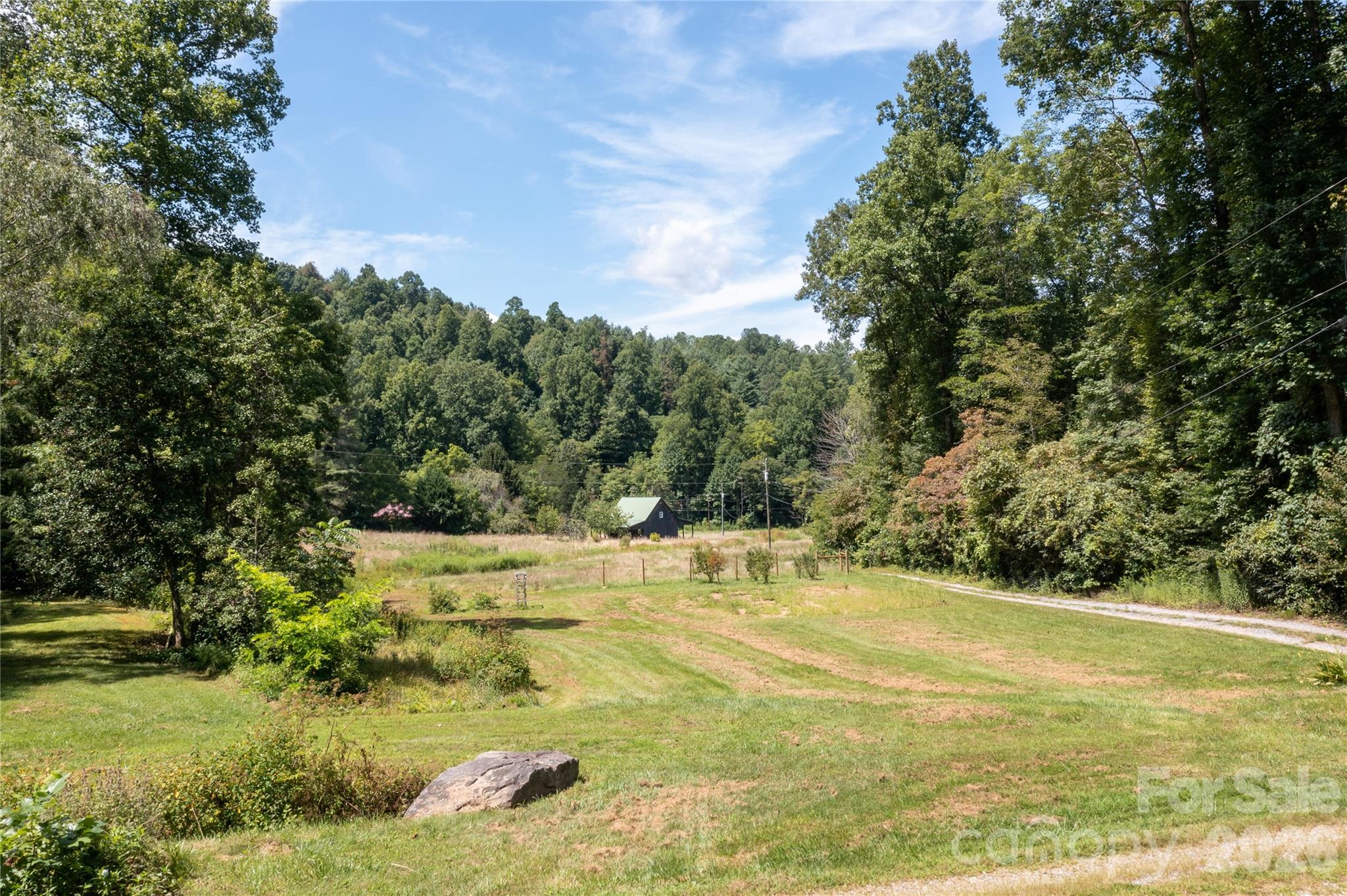 226 Wildcat Mountain Trail — Sylva