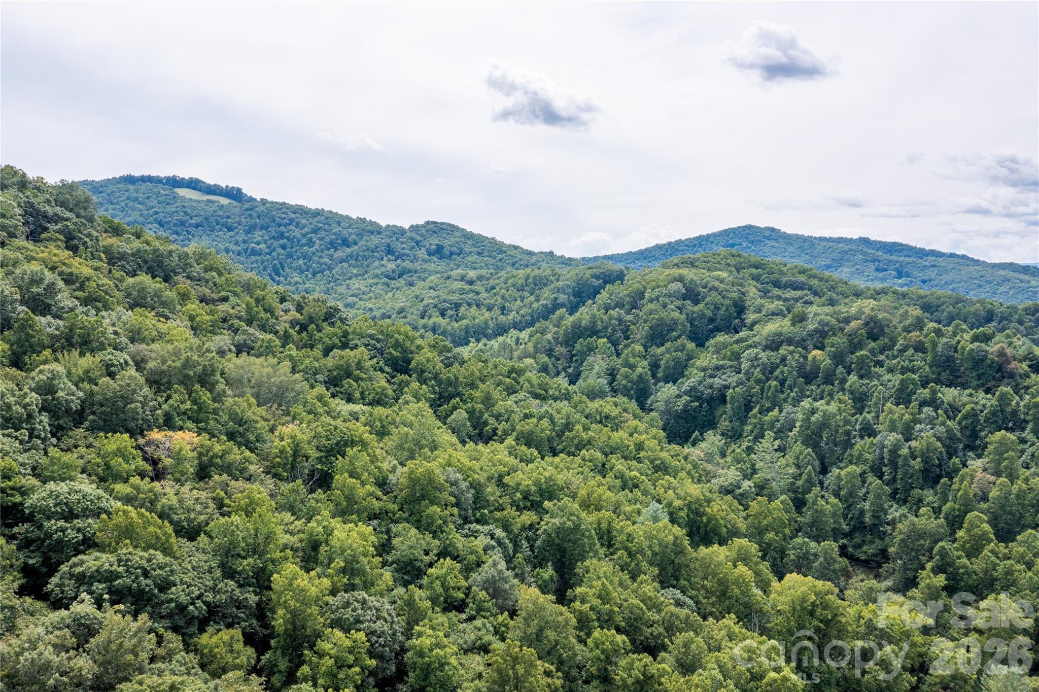 226 Wildcat Mountain Trail — Sylva