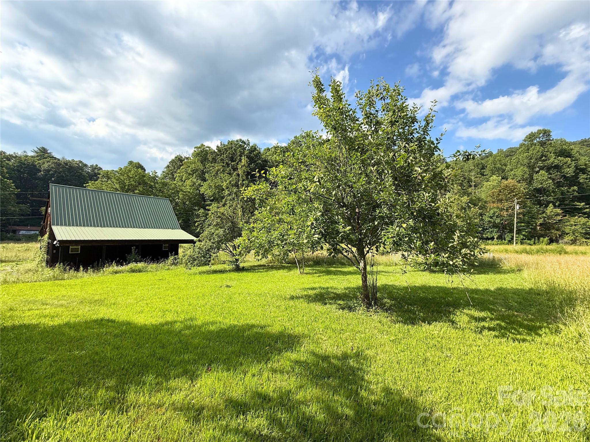 226 Wildcat Mountain Trail — Sylva