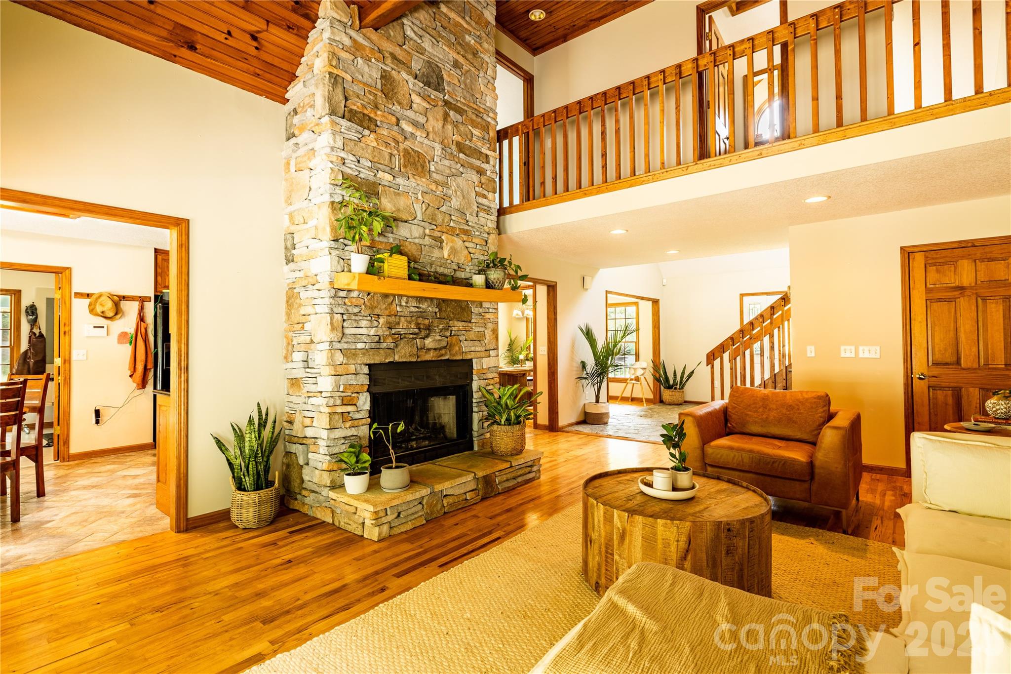 226 Wildcat Mountain Trail — Sylva