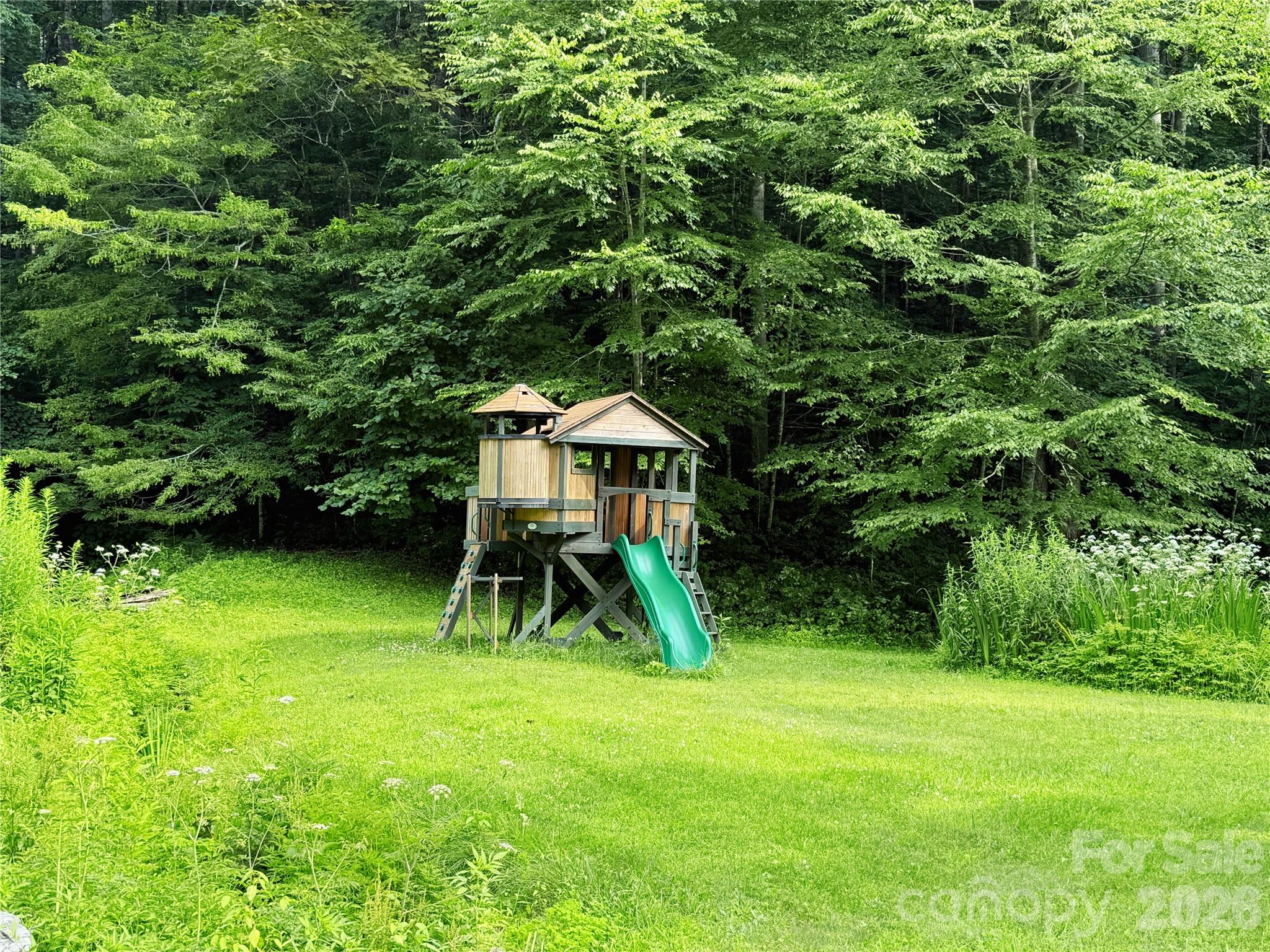 226 Wildcat Mountain Trail — Sylva
