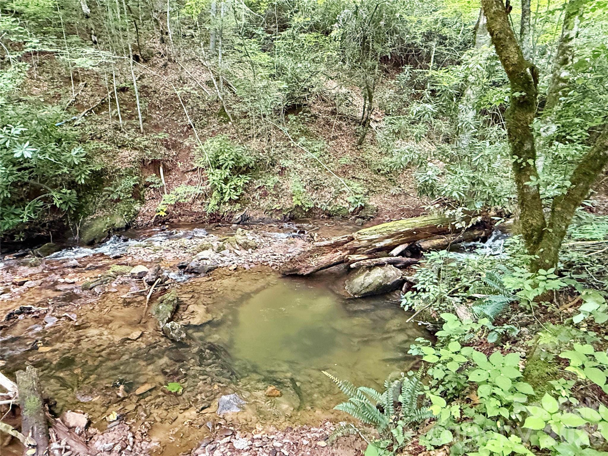 226 Wildcat Mountain Trail — Sylva