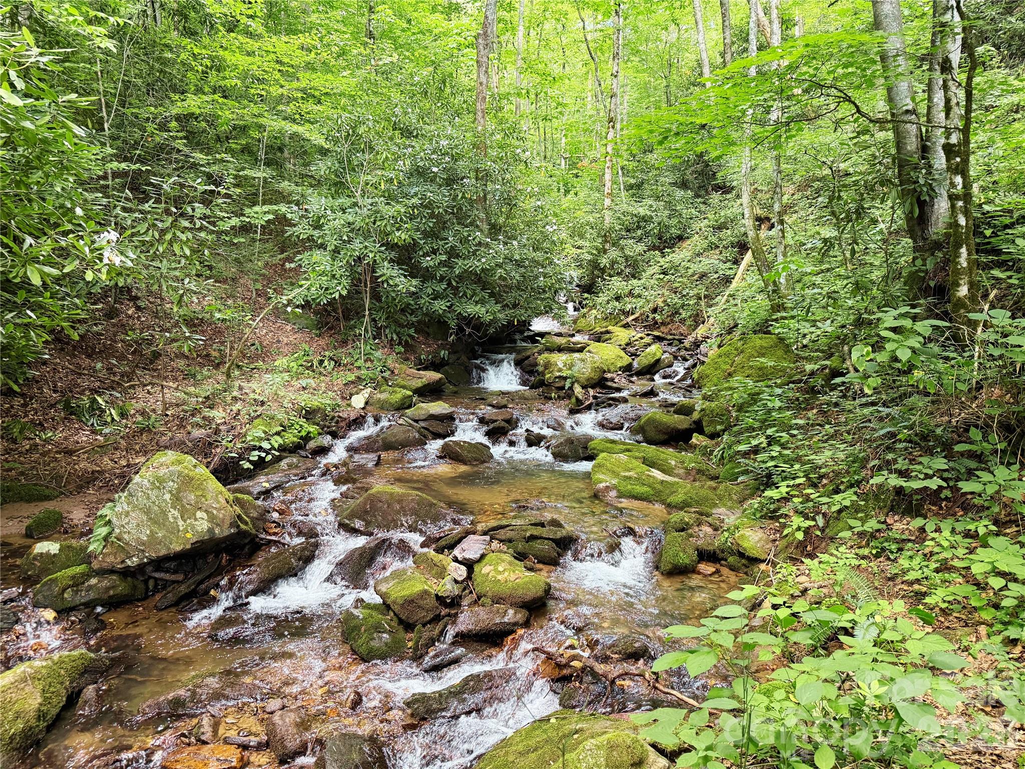 226 Wildcat Mountain Trail — Sylva
