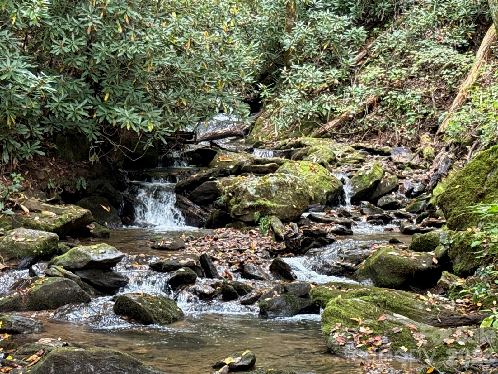 226 Wildcat Mountain Trail — Sylva