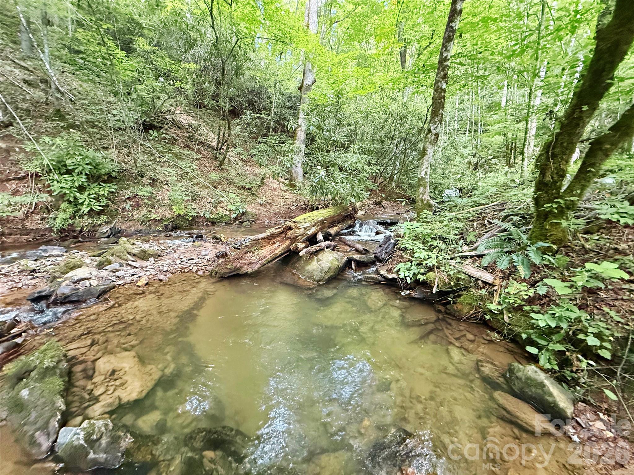 226 Wildcat Mountain Trail — Sylva