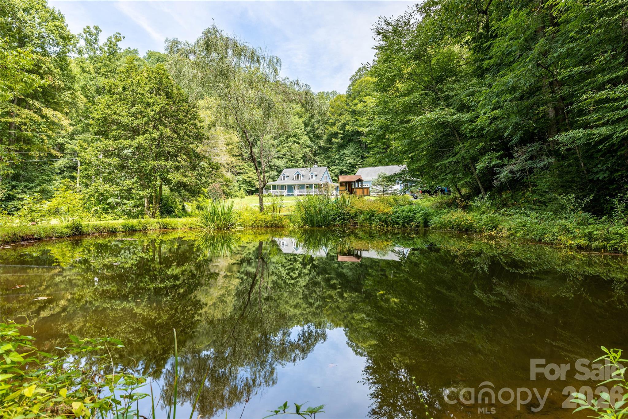 226 Wildcat Mountain Trail — Sylva