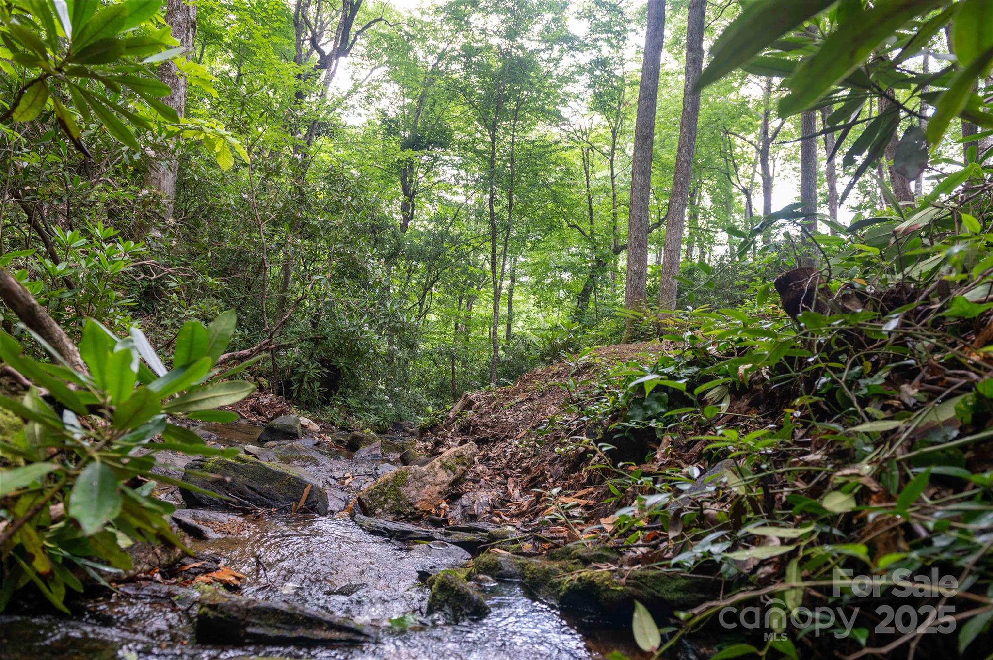 238 Falling Water Drive — Burnsville