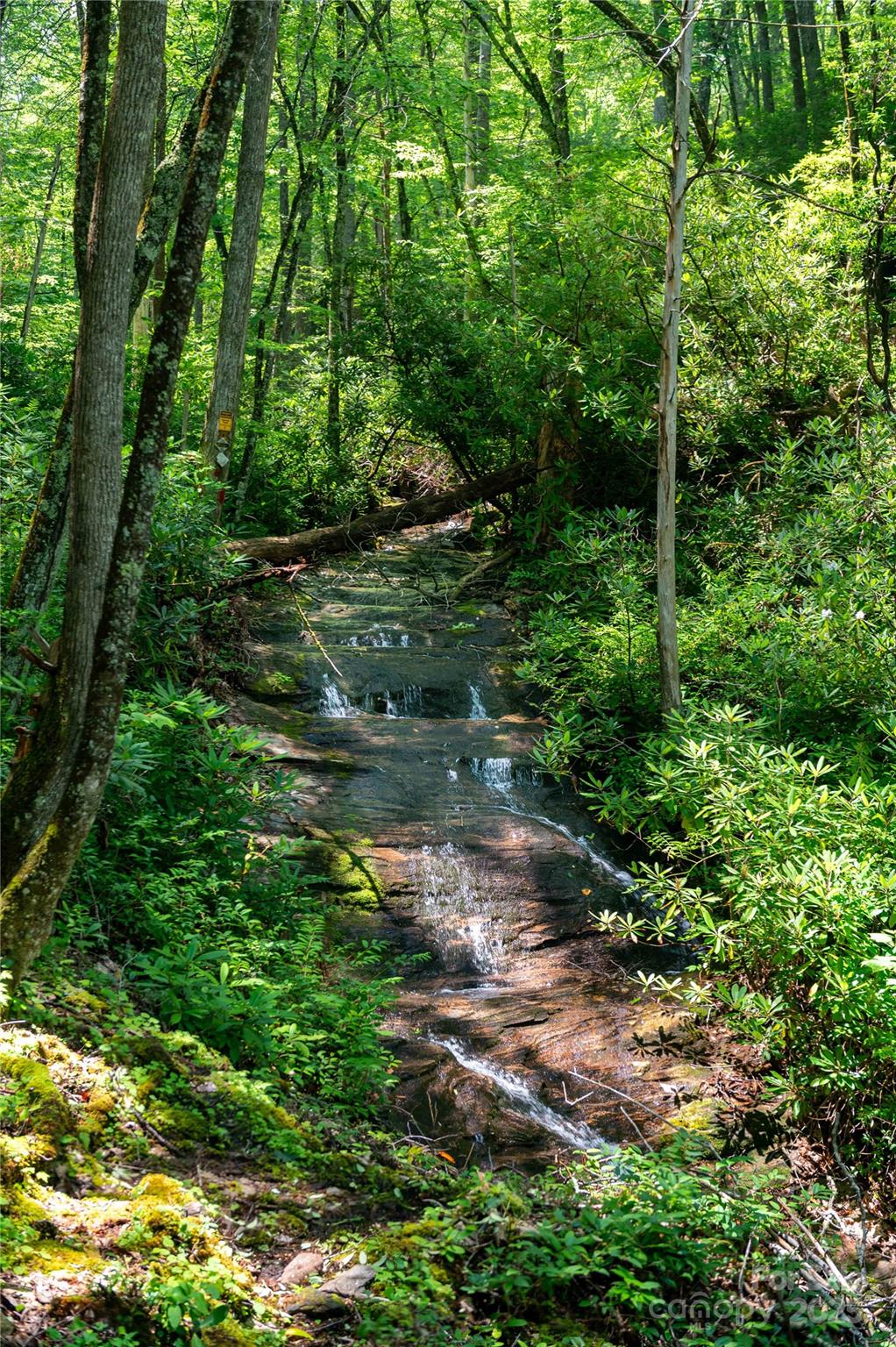 238 Falling Water Drive — Burnsville