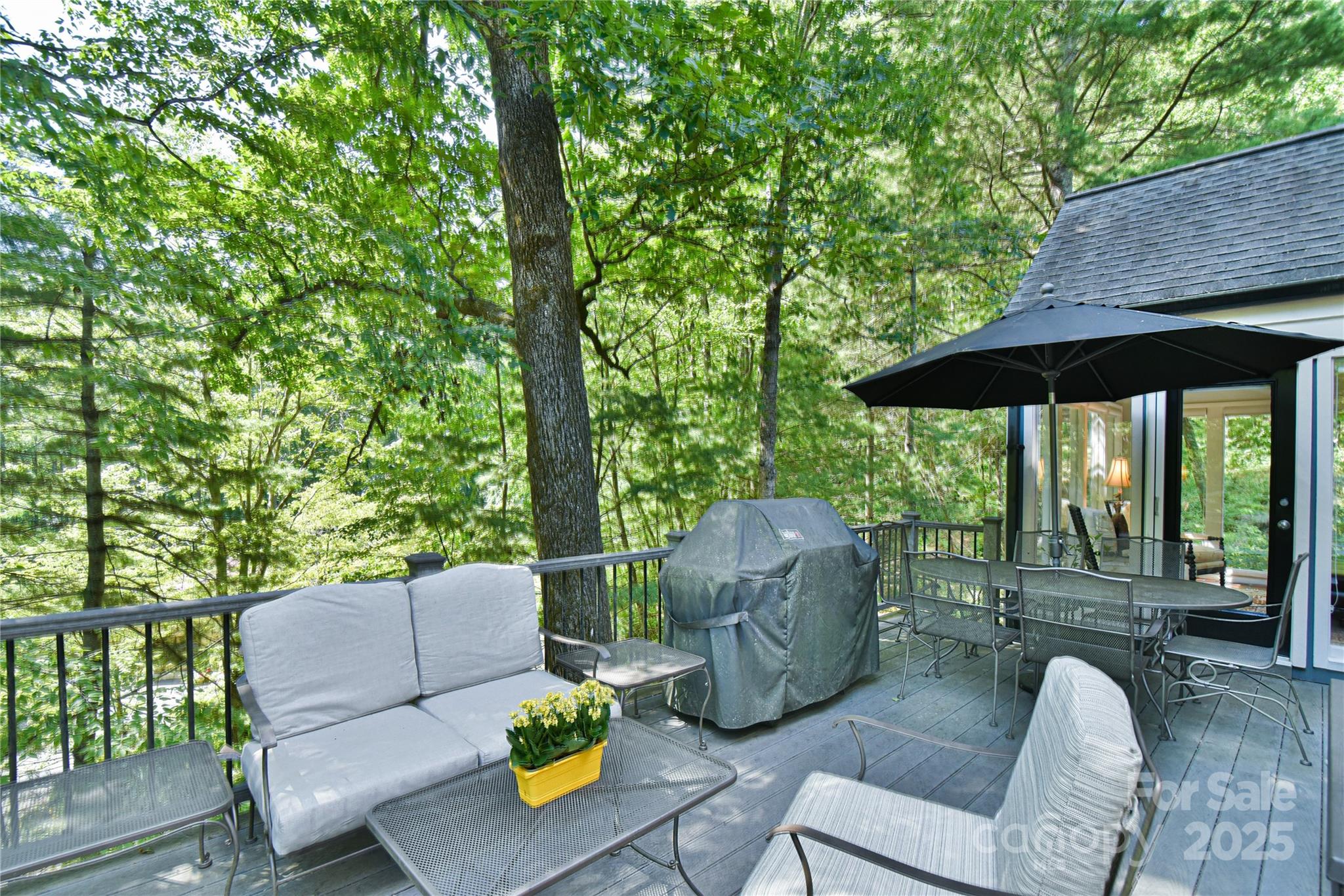 409 North Fork Road — Black Mountain
