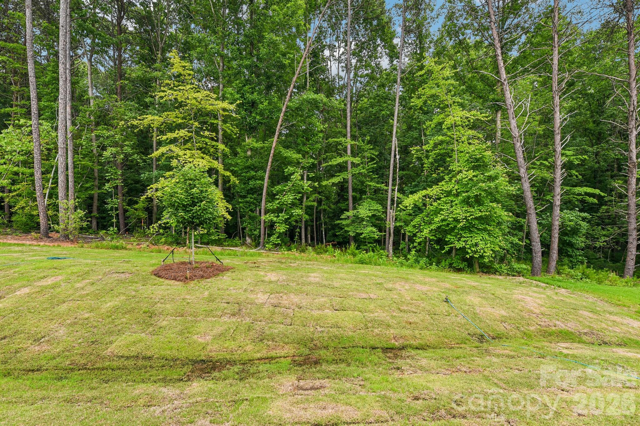 153 Asmodean Lane — Troutman