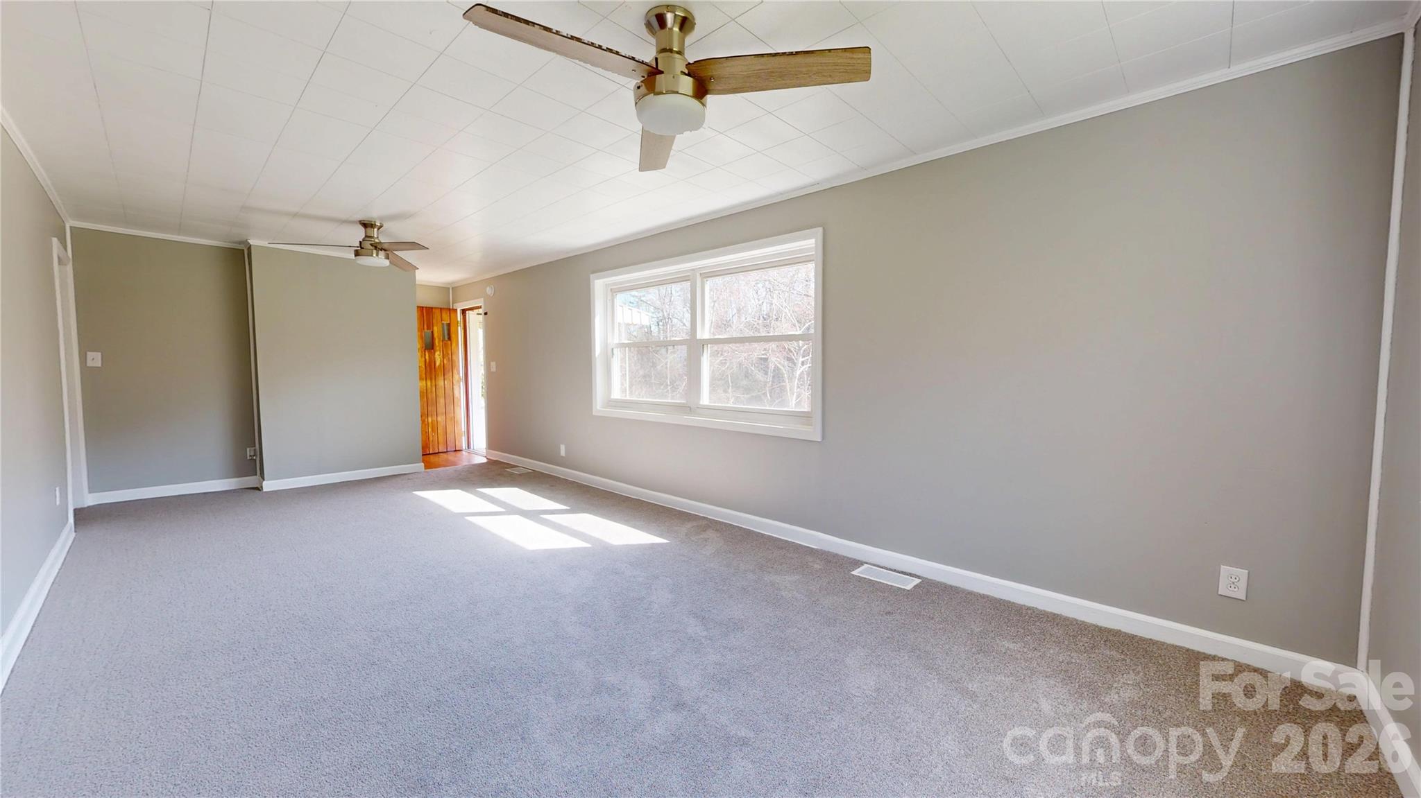 882 Poison Cove Road — Clyde