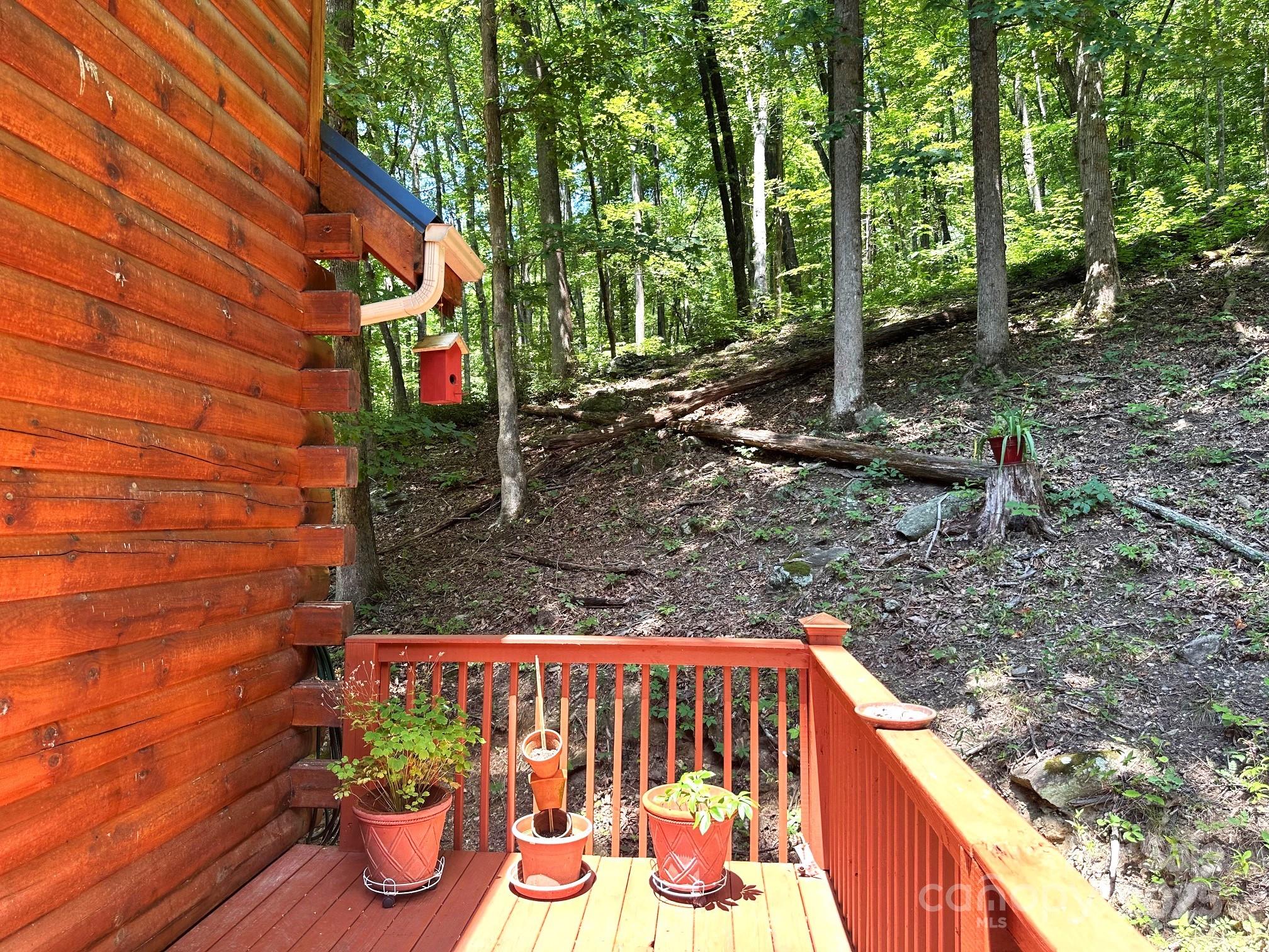 184 N Poplar Drive — Lake Lure