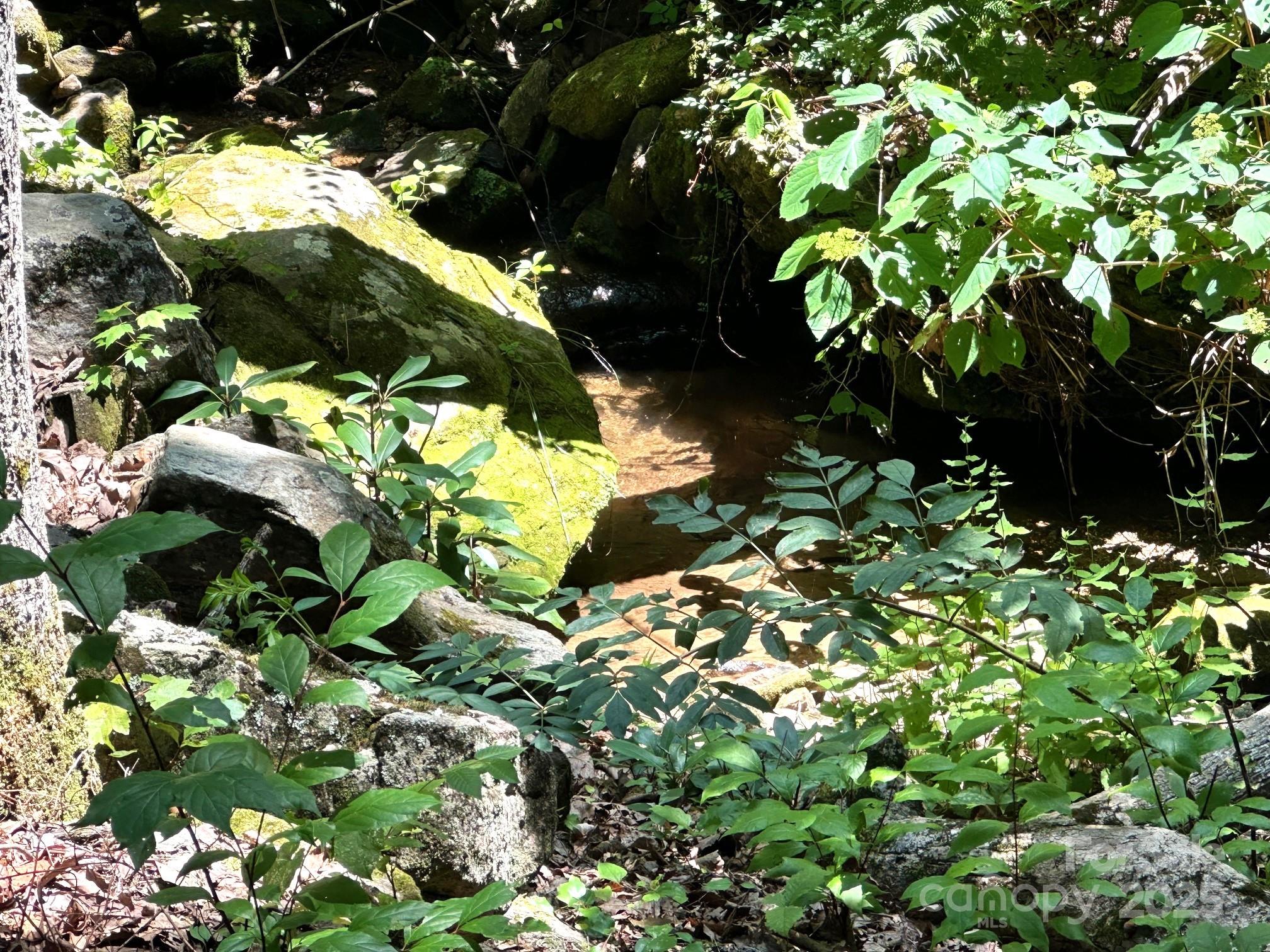 184 N Poplar Drive — Lake Lure