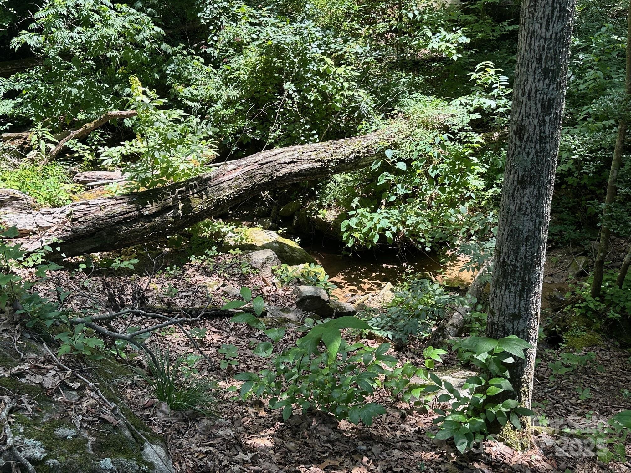 184 N Poplar Drive — Lake Lure