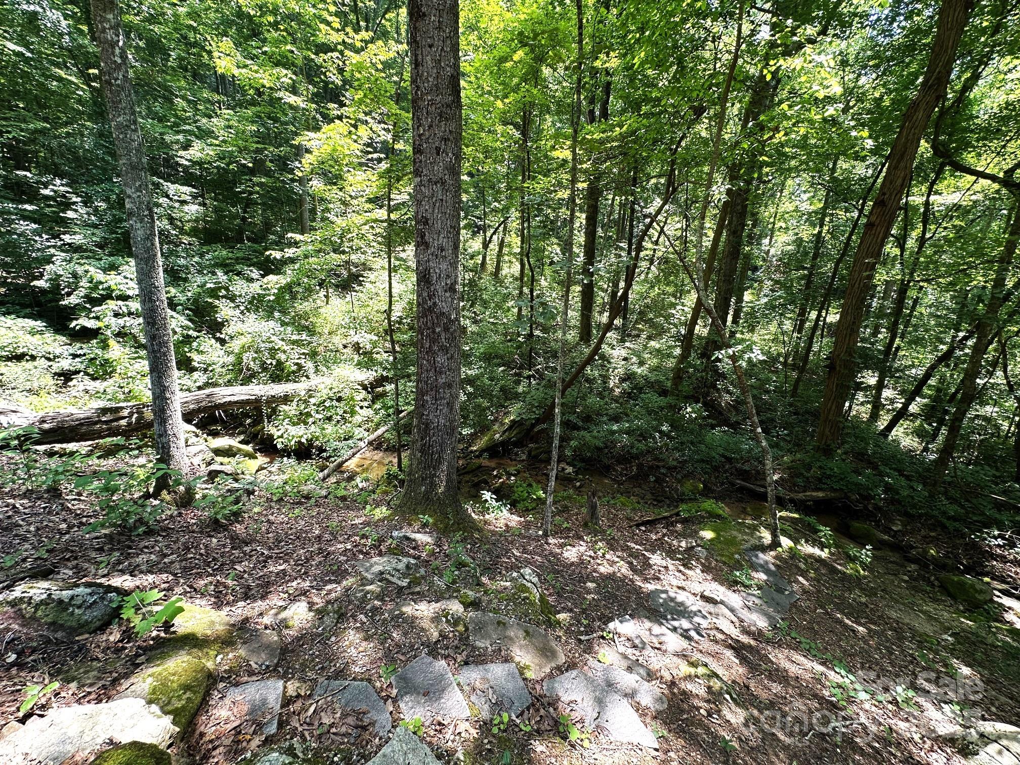 184 N Poplar Drive — Lake Lure