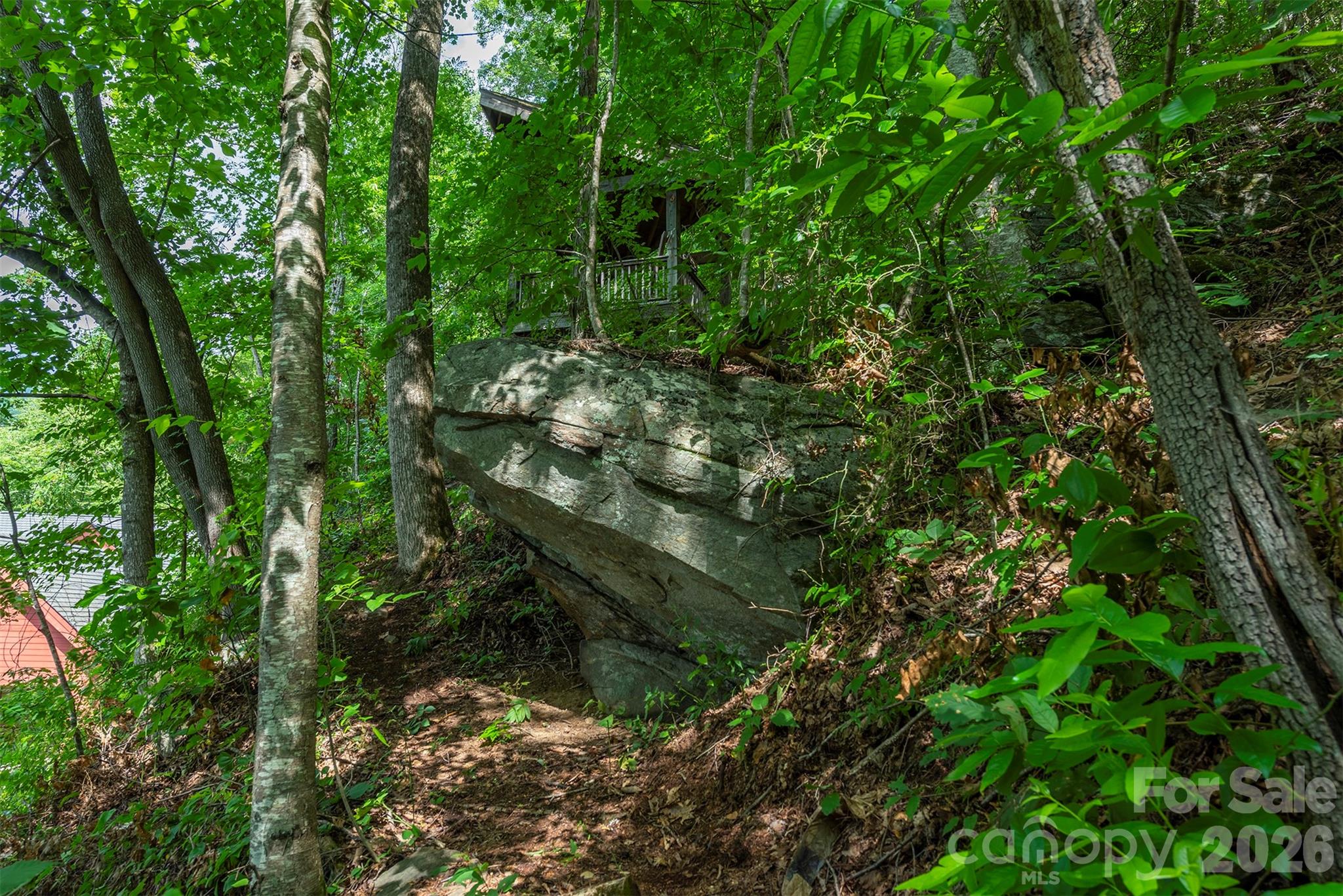 7 Winding Poplar Road — Black Mountain