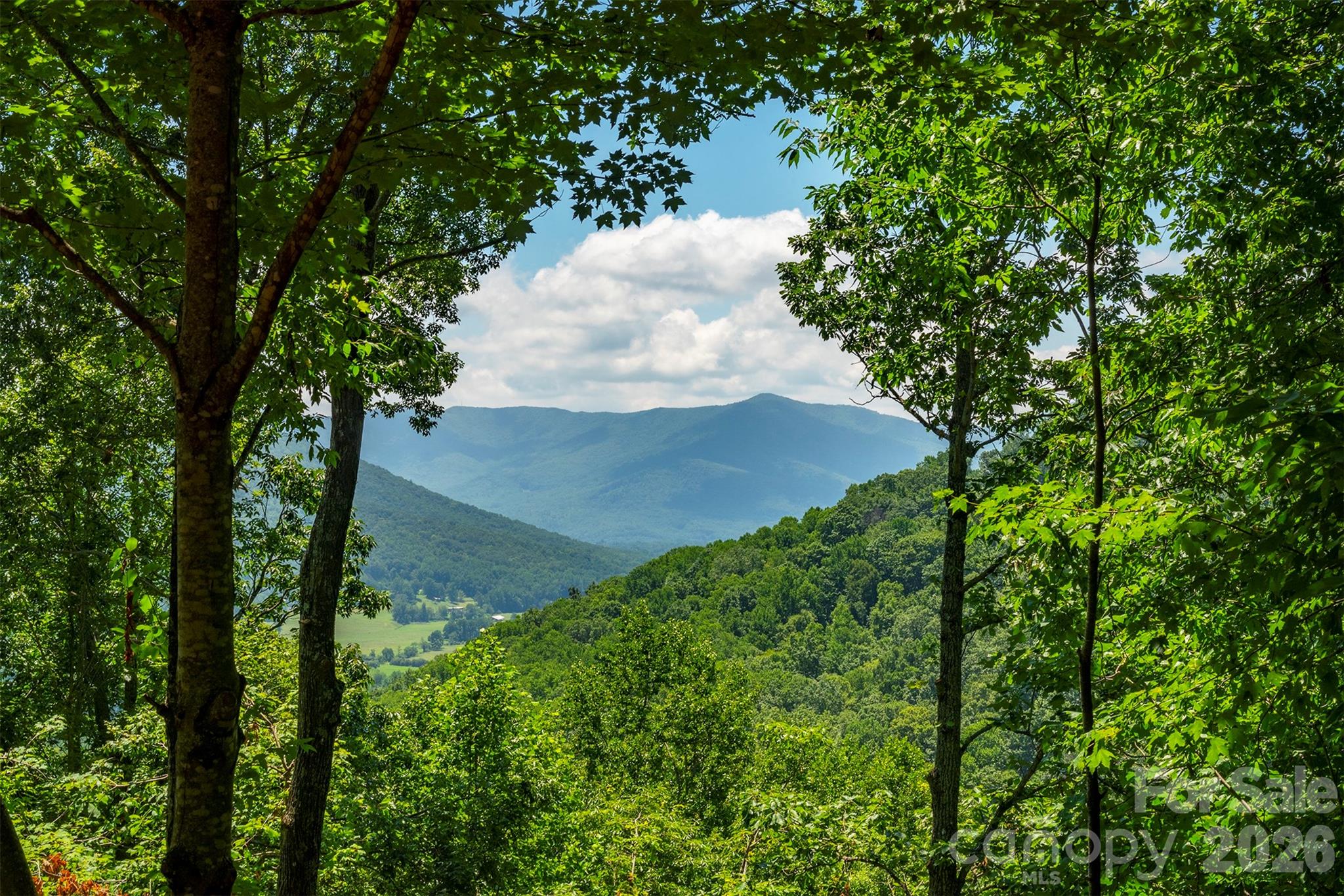 7 Winding Poplar Road — Black Mountain