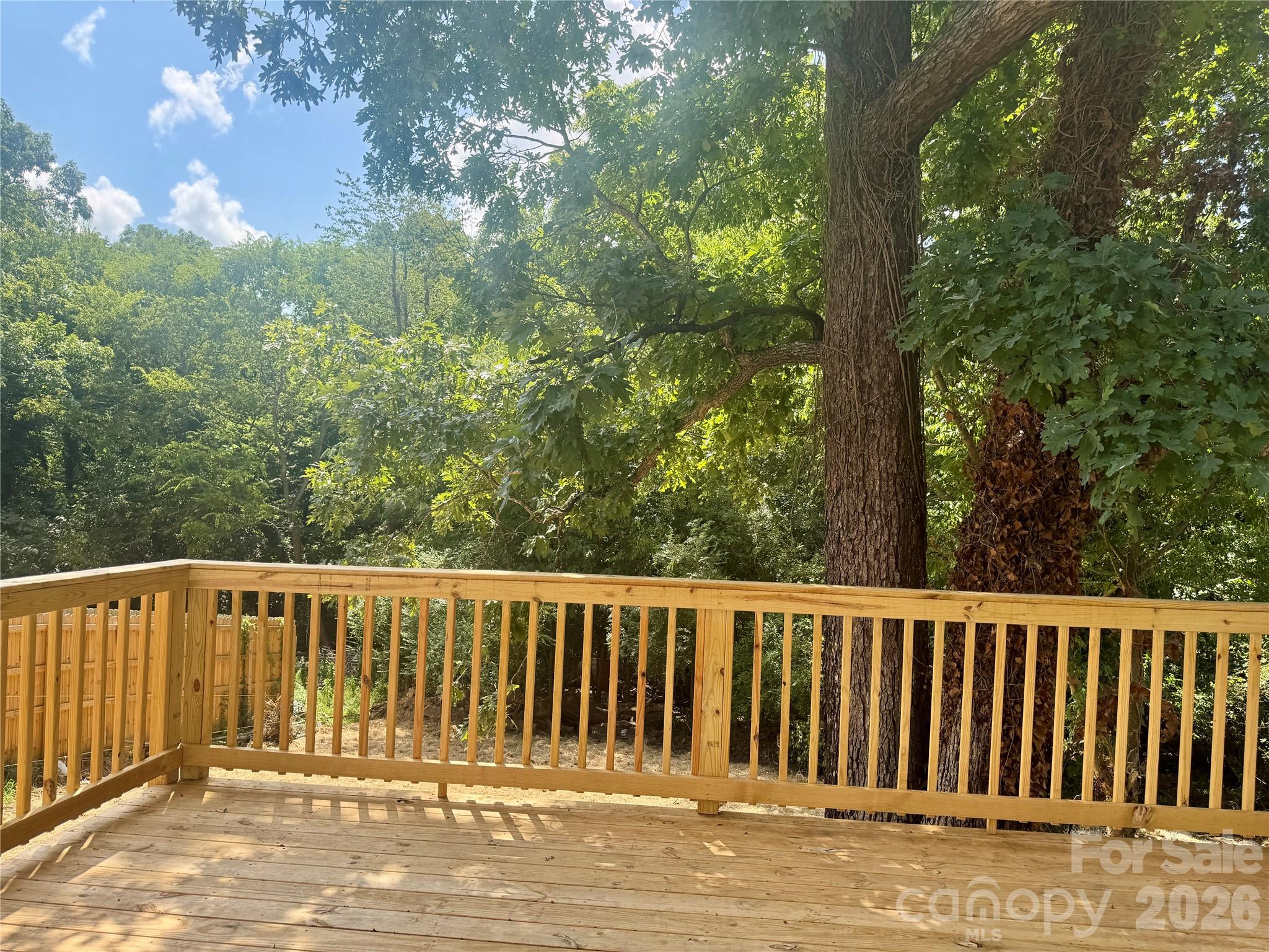 142 S Morrow Avenue — Albemarle