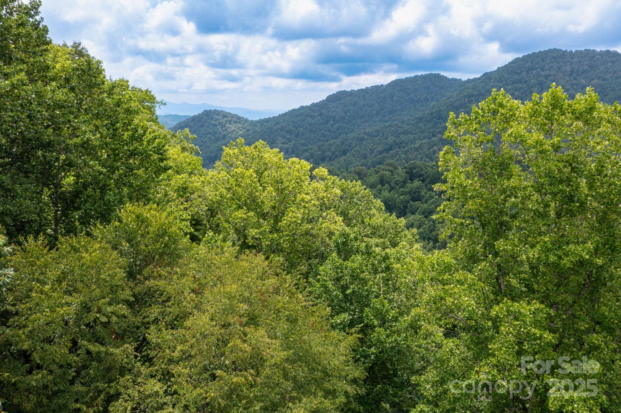 192 Granny Shepherd Road — Mars Hill