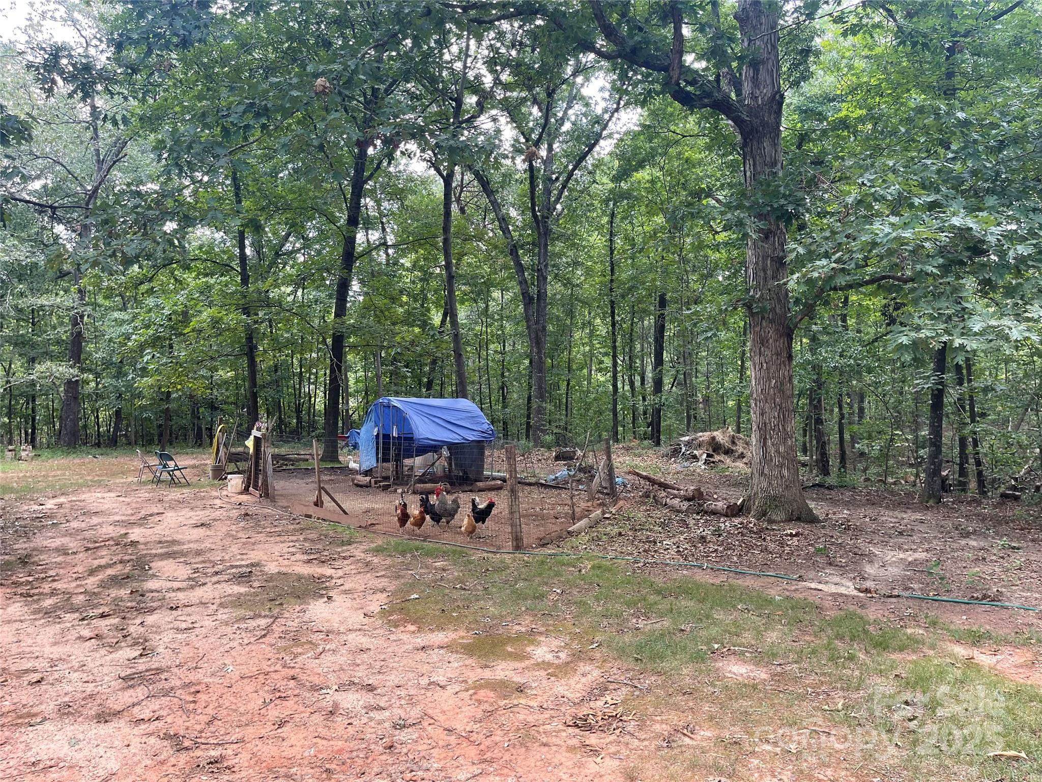 5790 Summer Lane — Cherryville