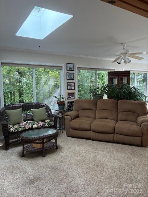 23 Dvga Court — Brevard