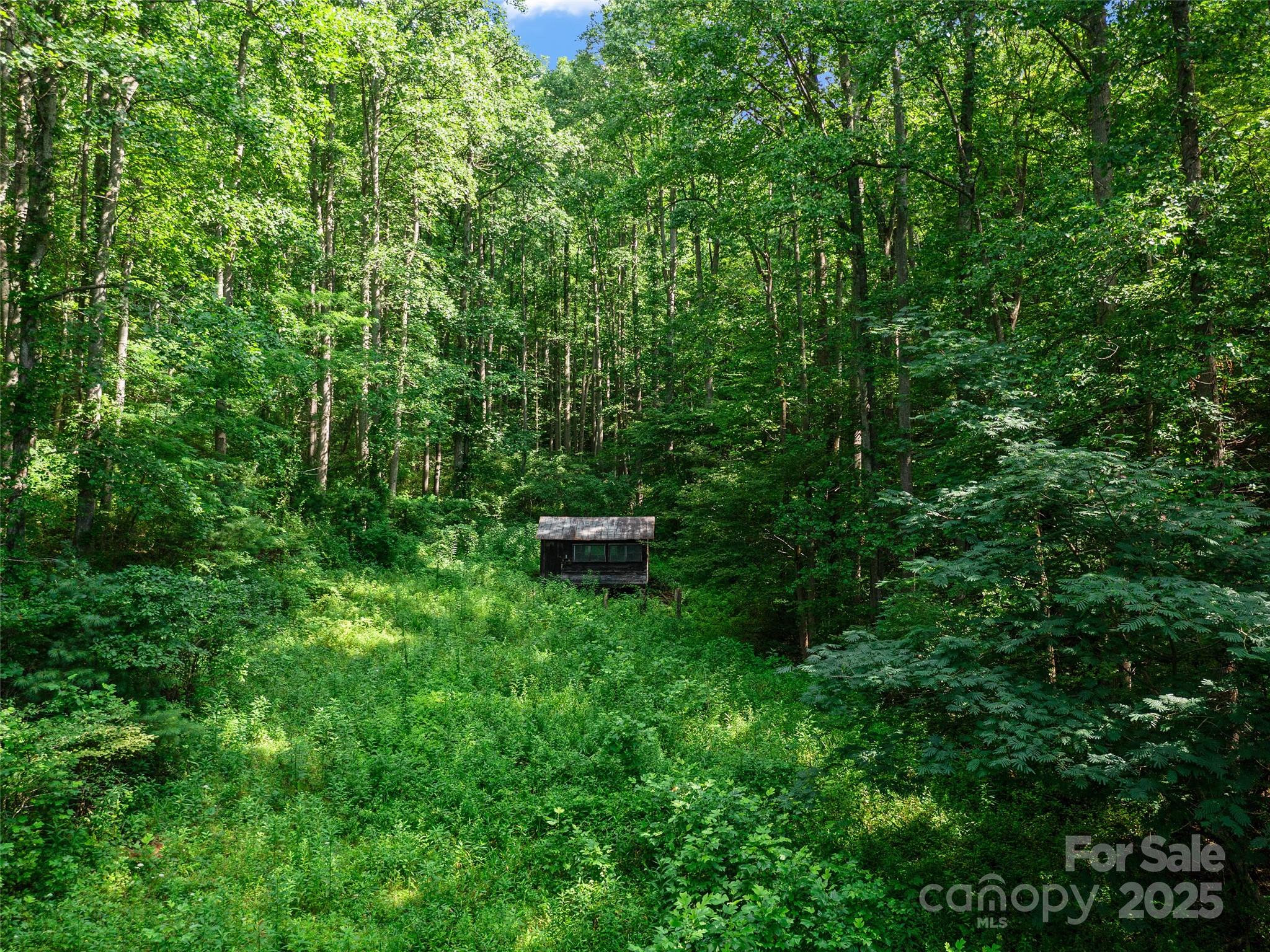 9065 NC 63 Highway — Leicester