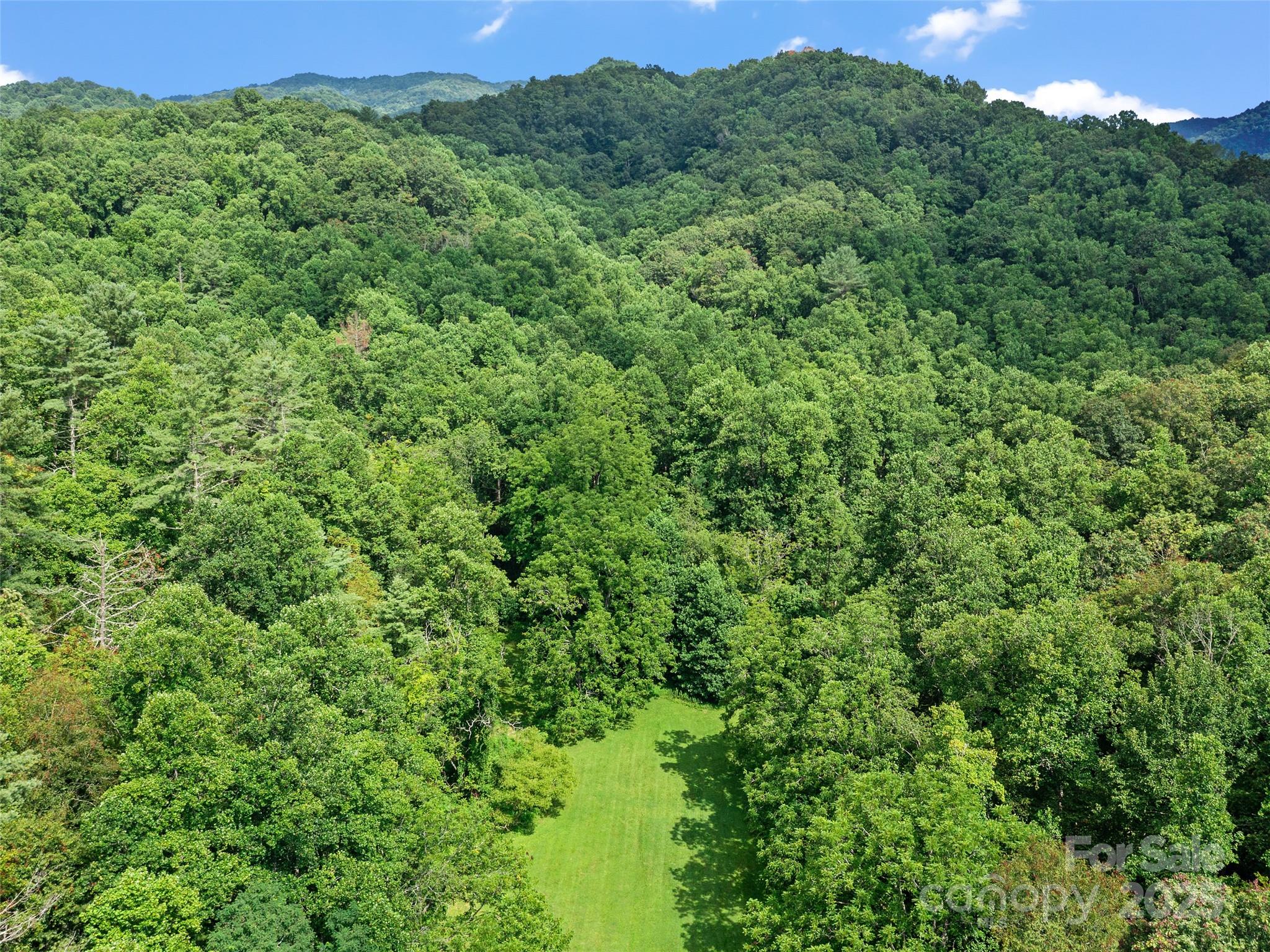 9065 NC 63 Highway — Leicester