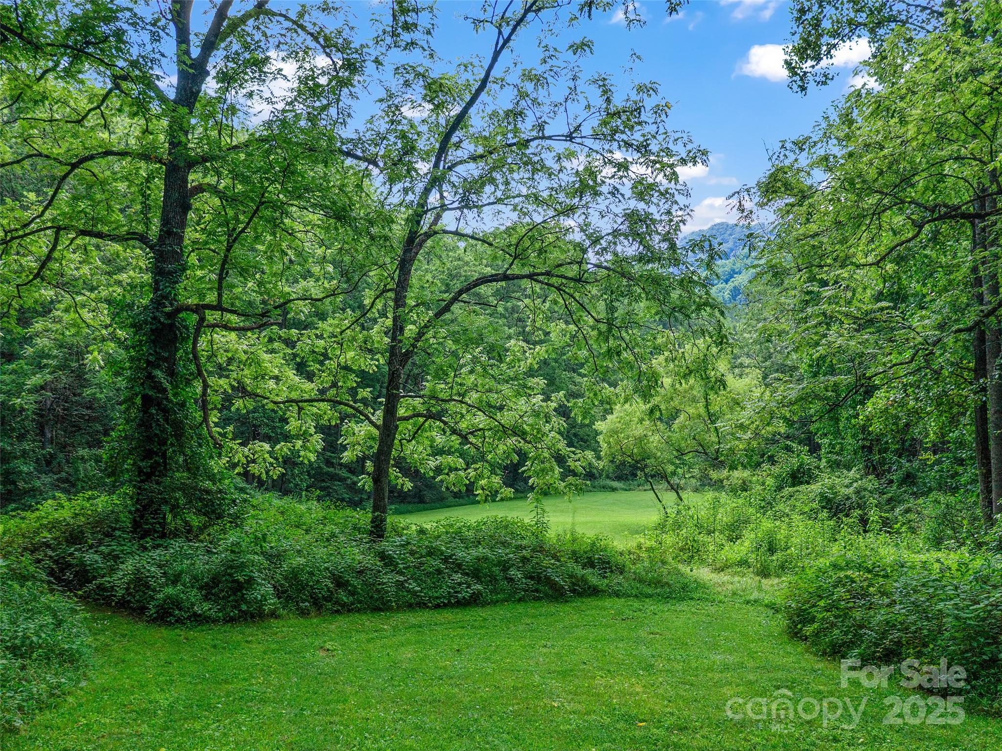 9065 NC 63 Highway — Leicester
