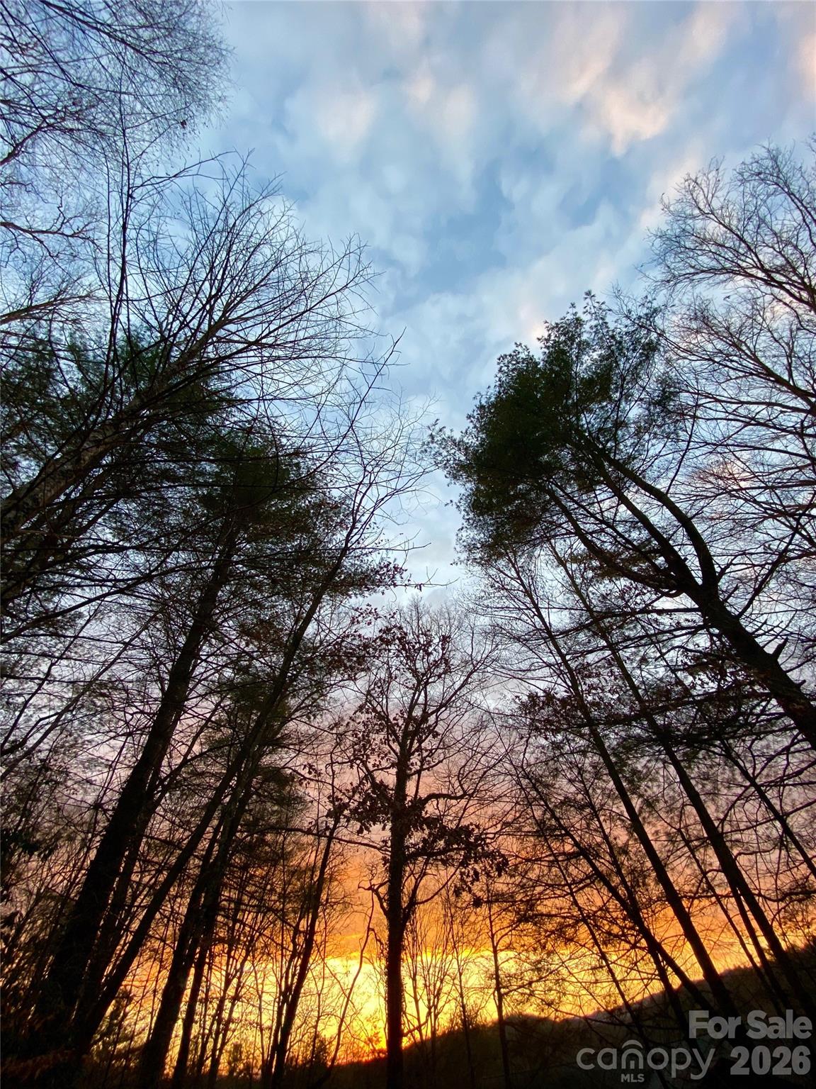 239 Three Mile Knob Road — Pisgah Forest