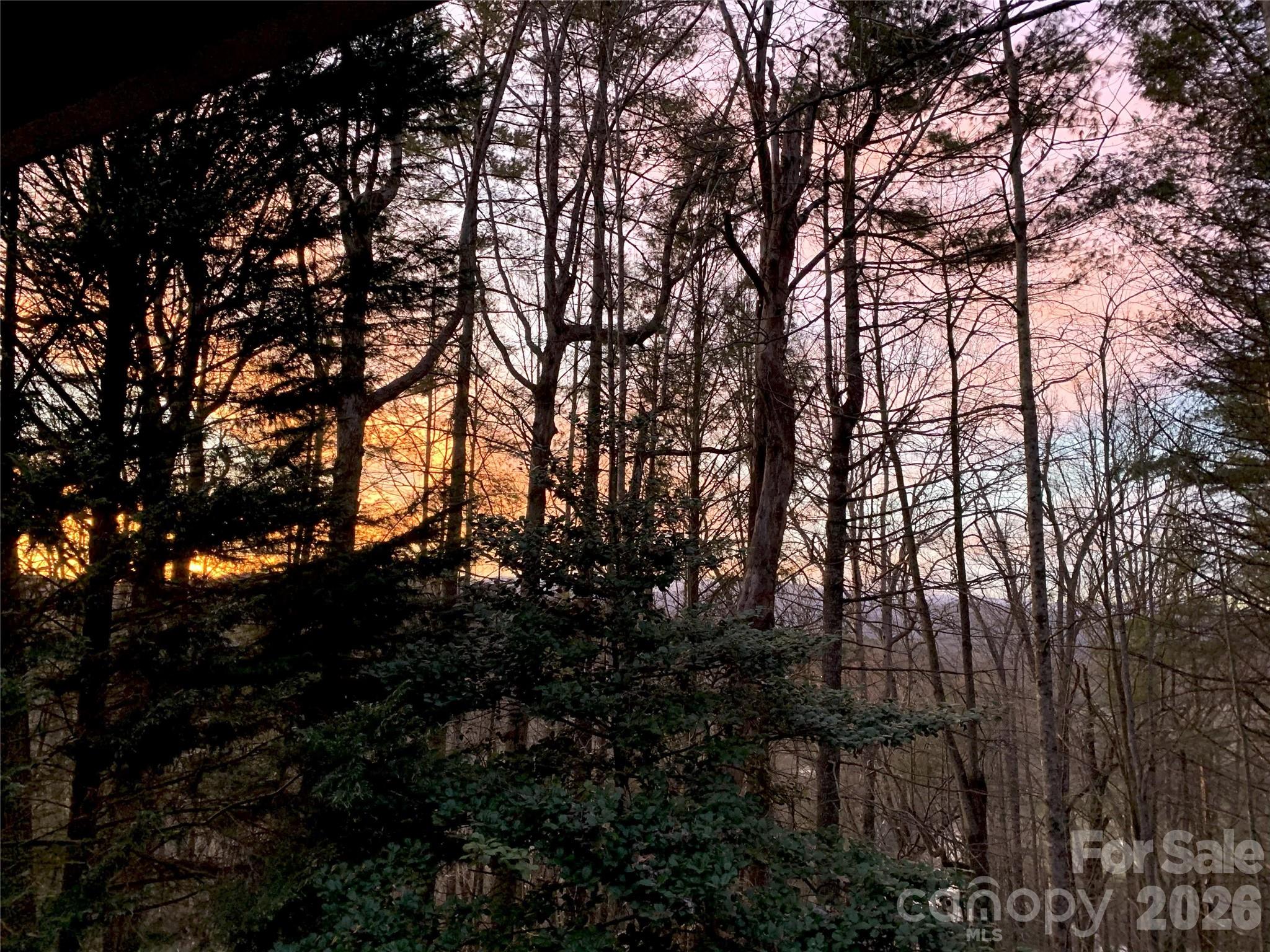 239 Three Mile Knob Road — Pisgah Forest