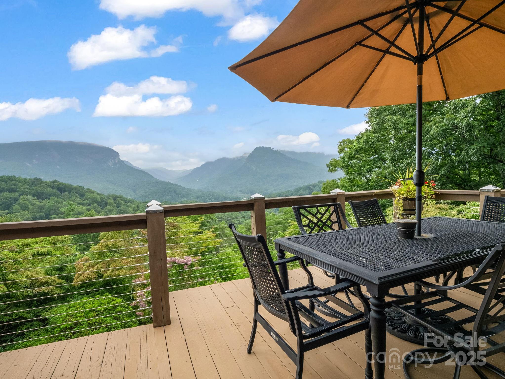 315 Thomas A Edison Road — Lake Lure
