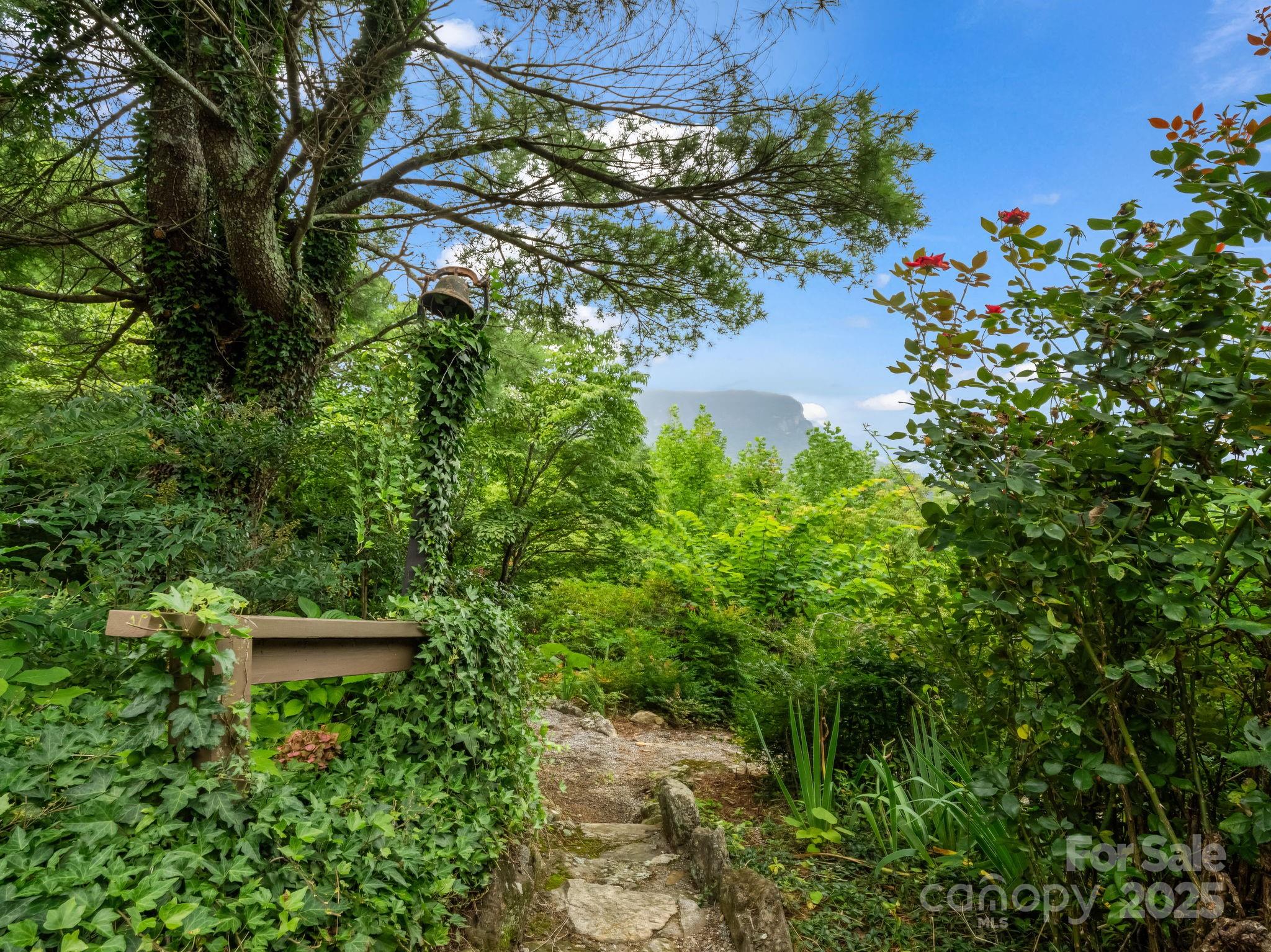 315 Thomas A Edison Road — Lake Lure