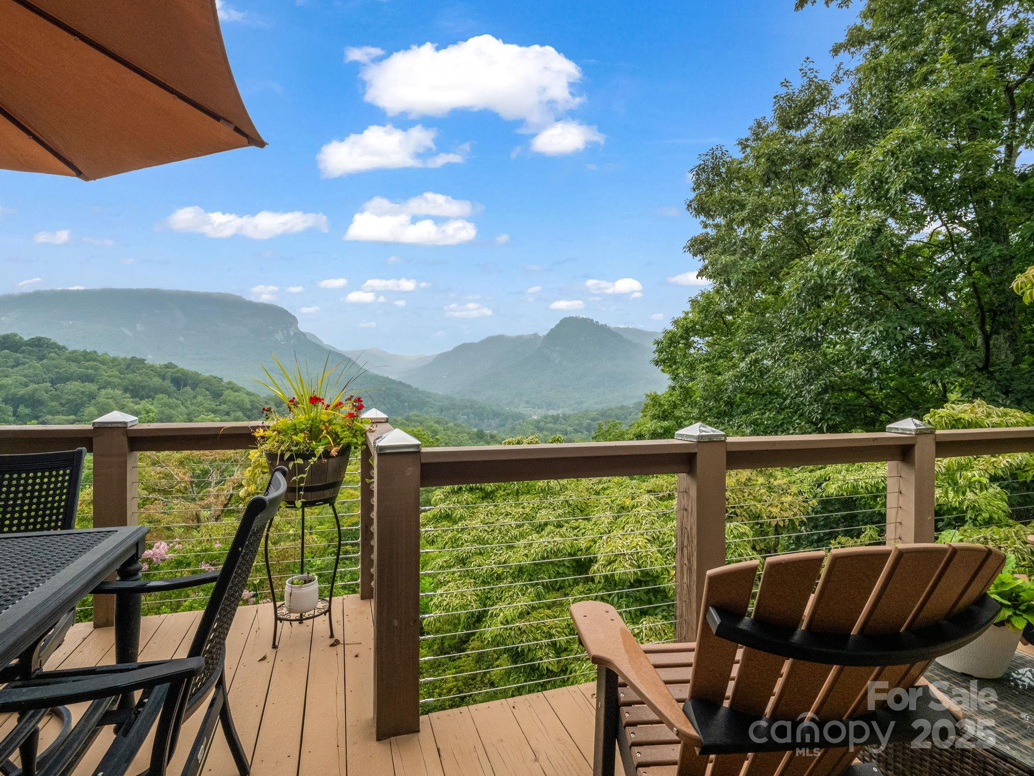 315 Thomas A Edison Road — Lake Lure