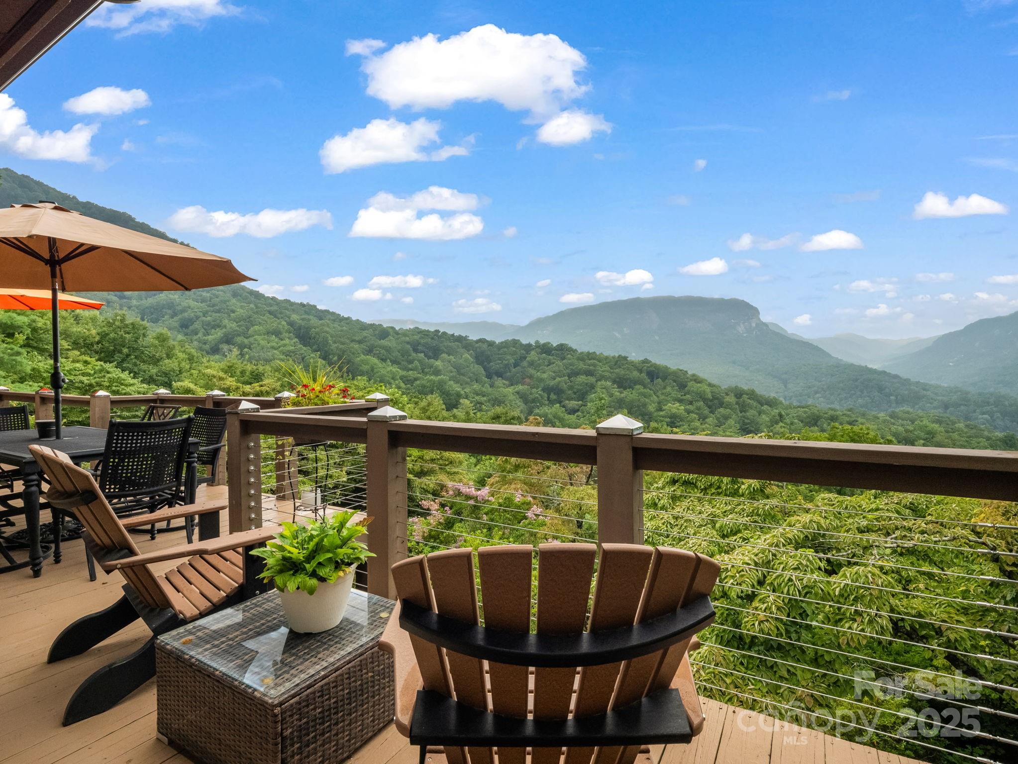315 Thomas A Edison Road — Lake Lure