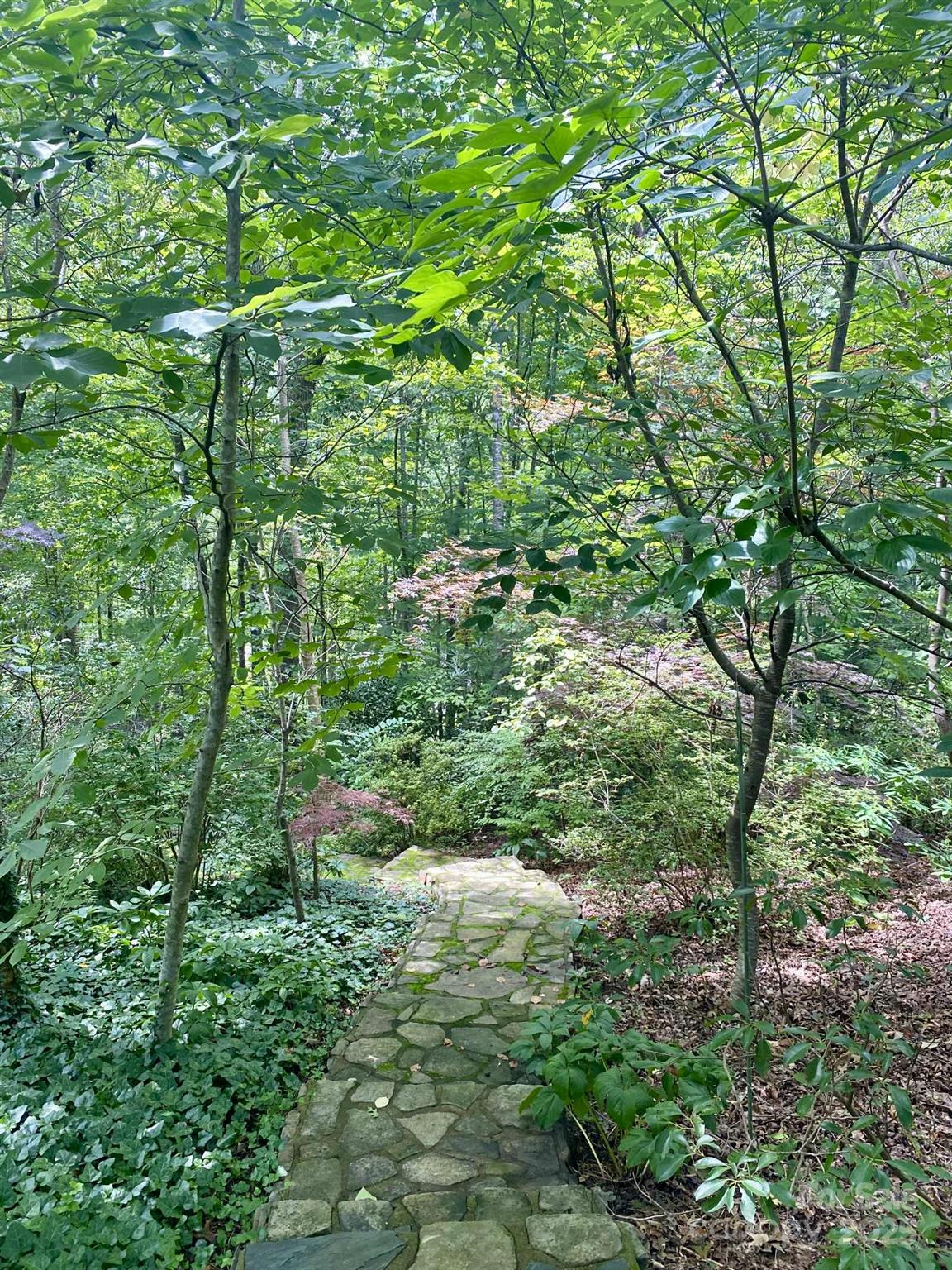 163 Gypsy Mountain Road — Marion
