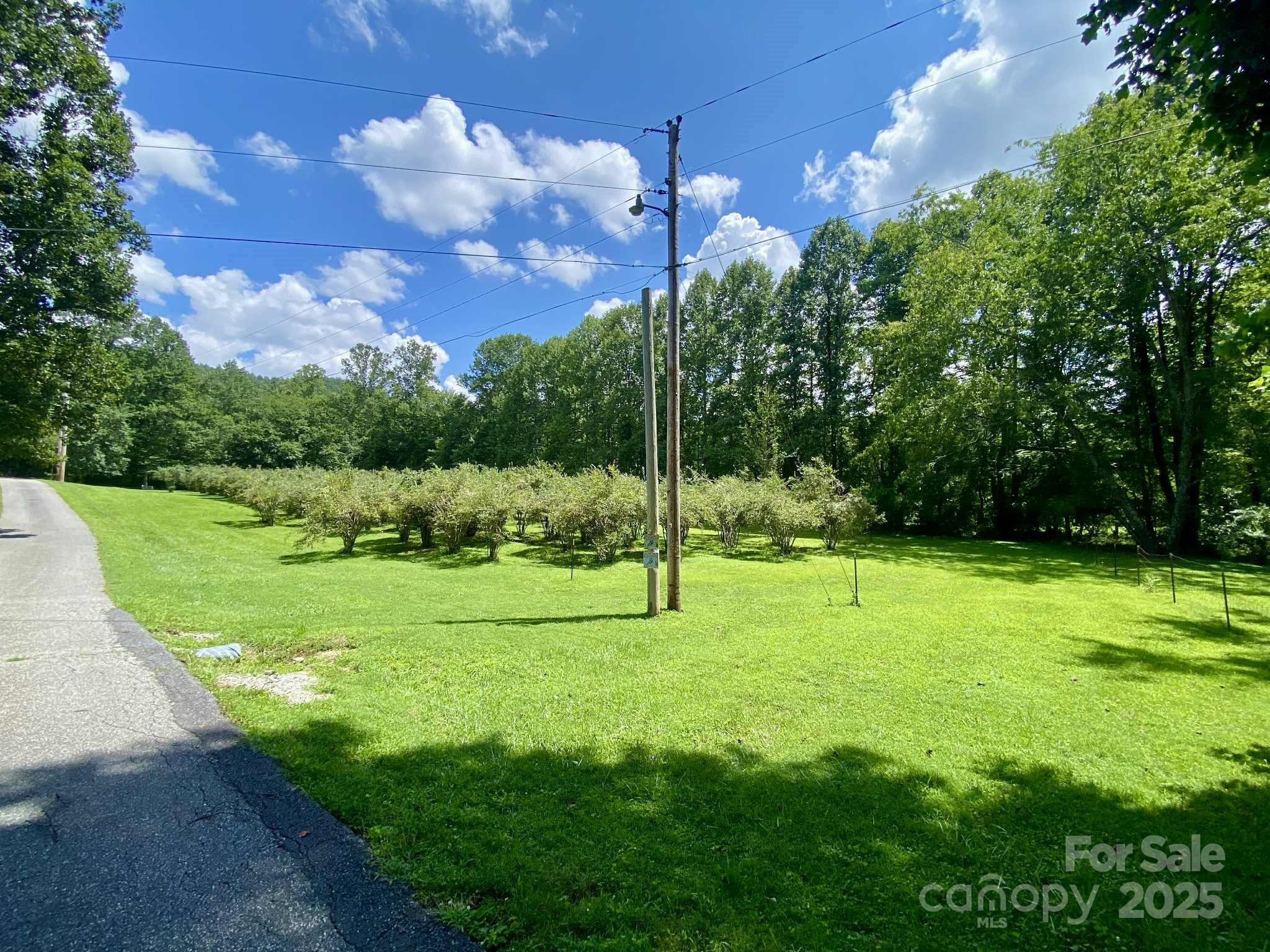 163 Gypsy Mountain Road — Marion