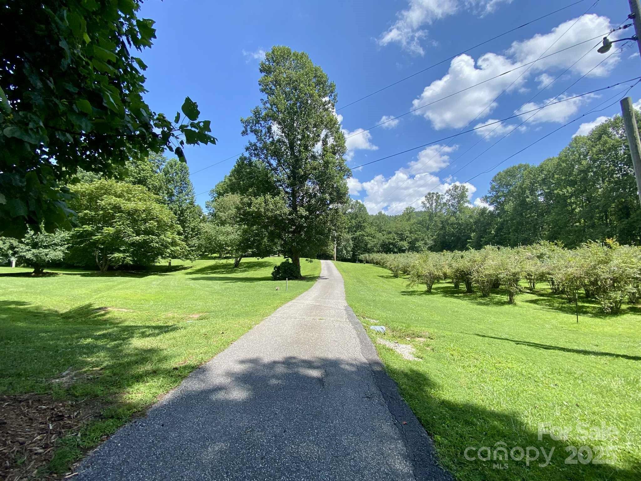 163 Gypsy Mountain Road — Marion