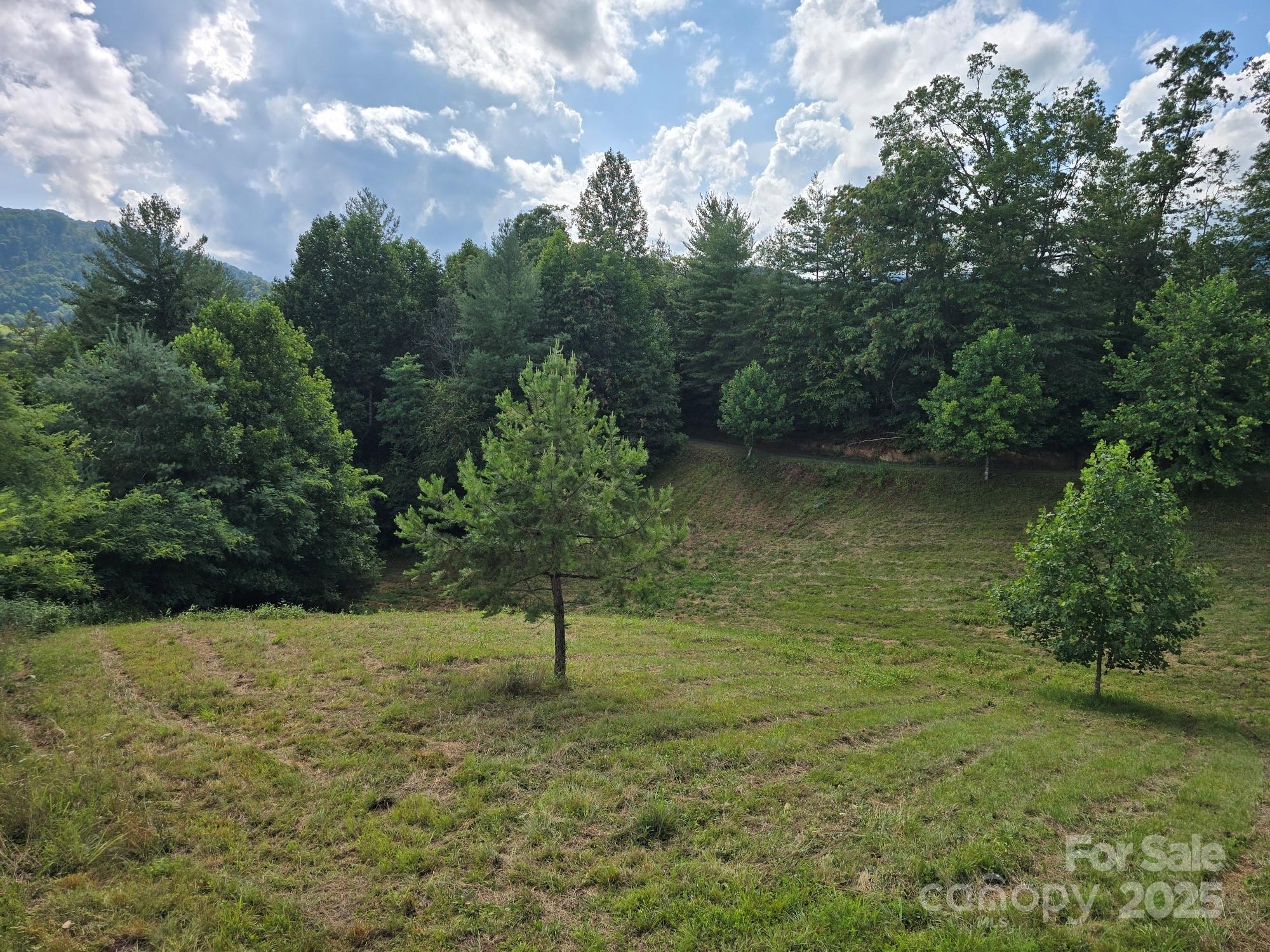 71 Banks Creek Road — Burnsville