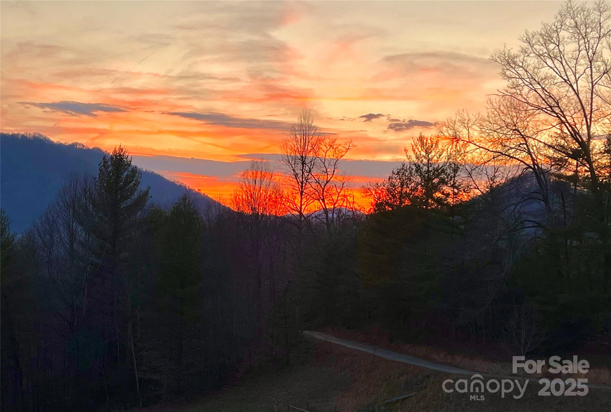 71 Banks Creek Road — Burnsville