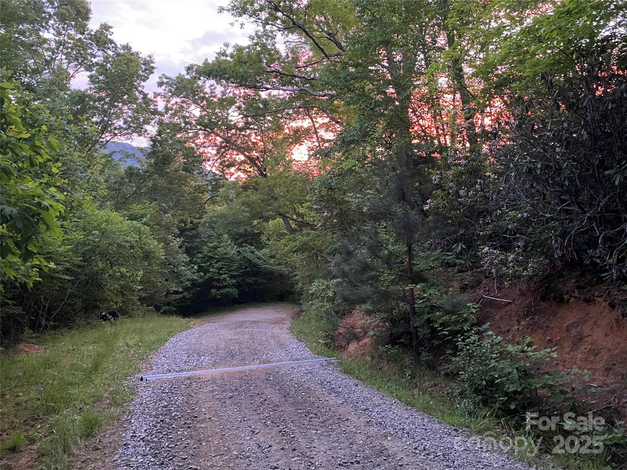 71 Banks Creek Road — Burnsville