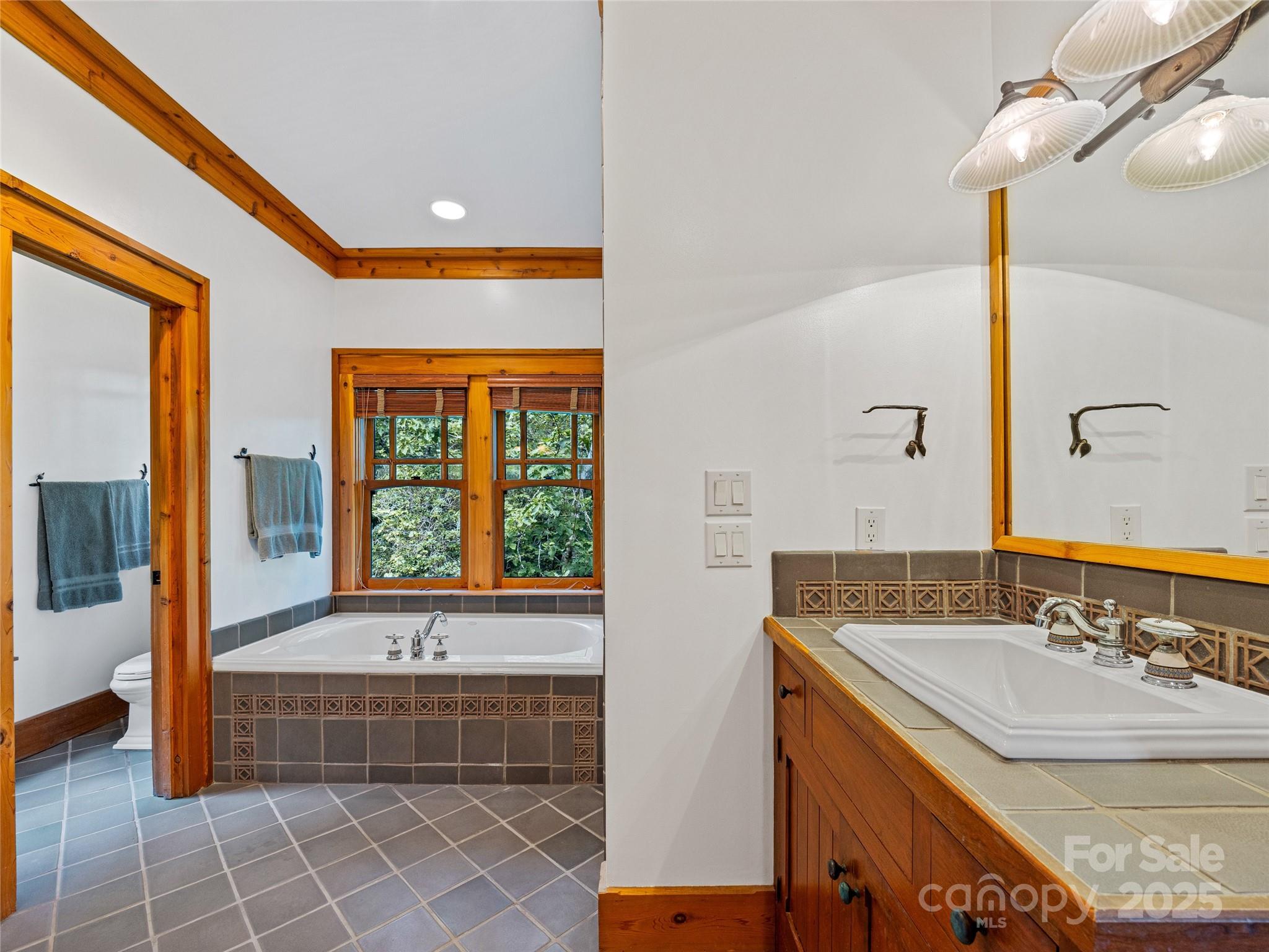 770 Meadow Ridge Drive — Lake Toxaway