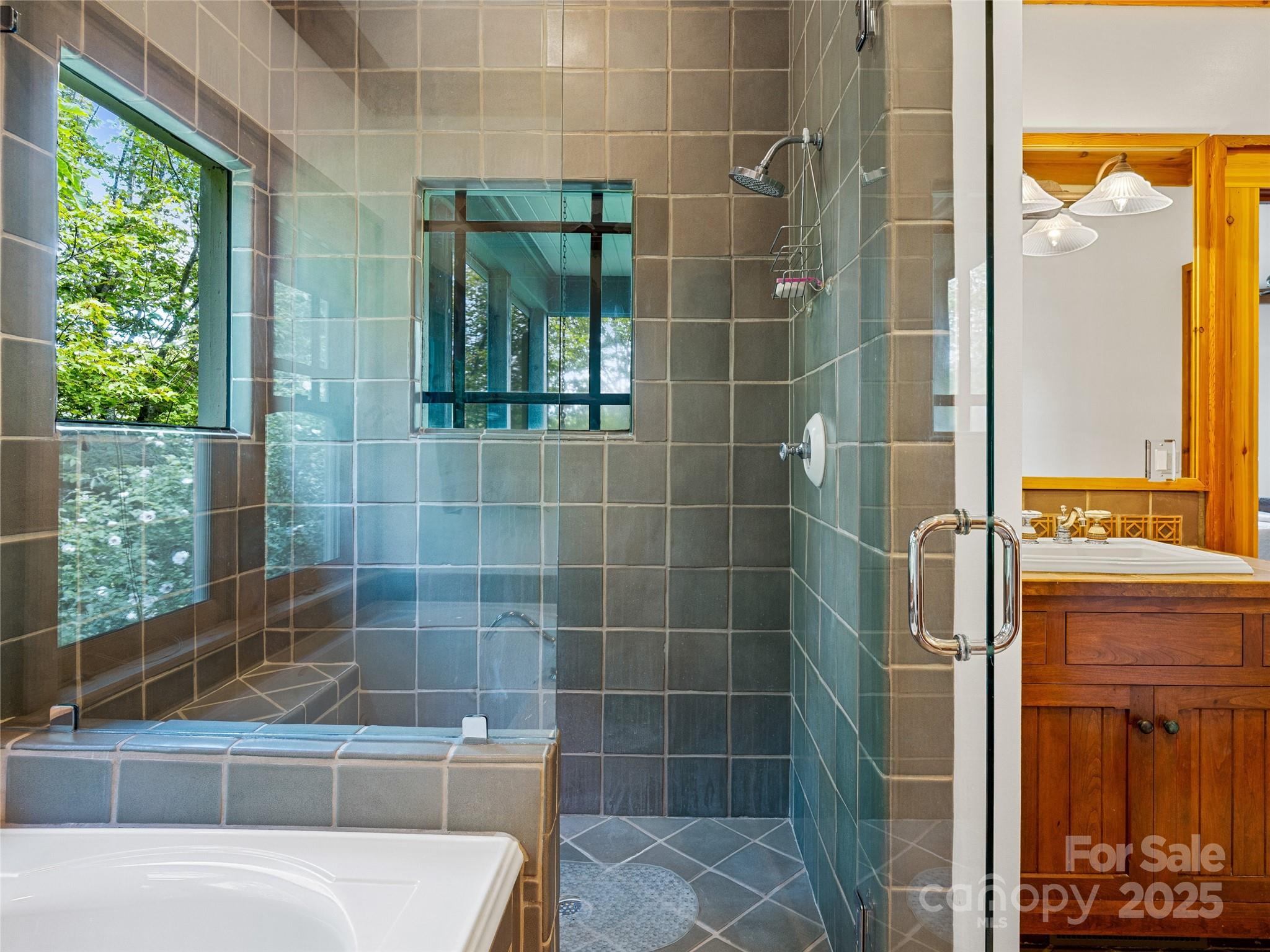 770 Meadow Ridge Drive — Lake Toxaway