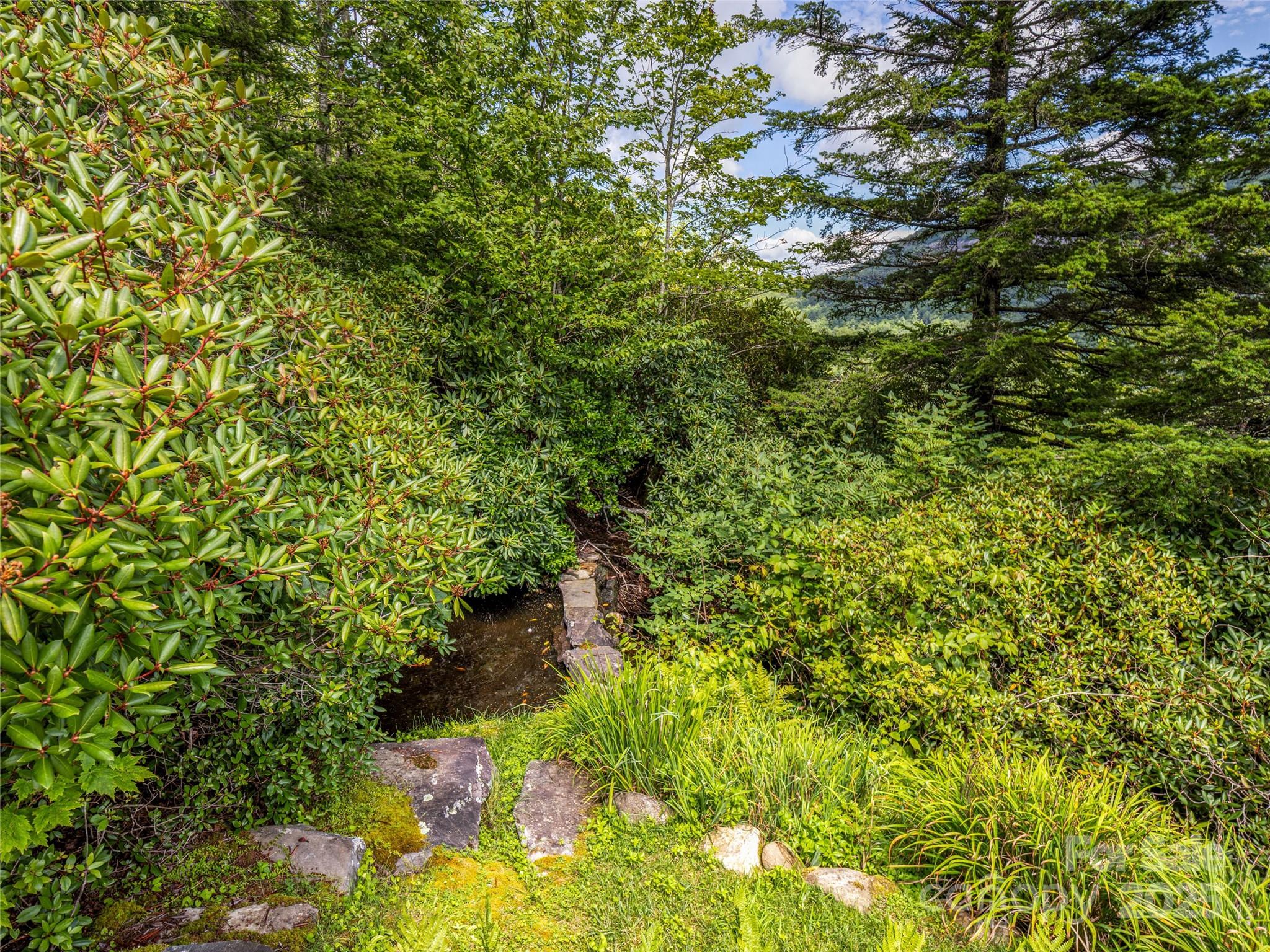 770 Meadow Ridge Drive — Lake Toxaway