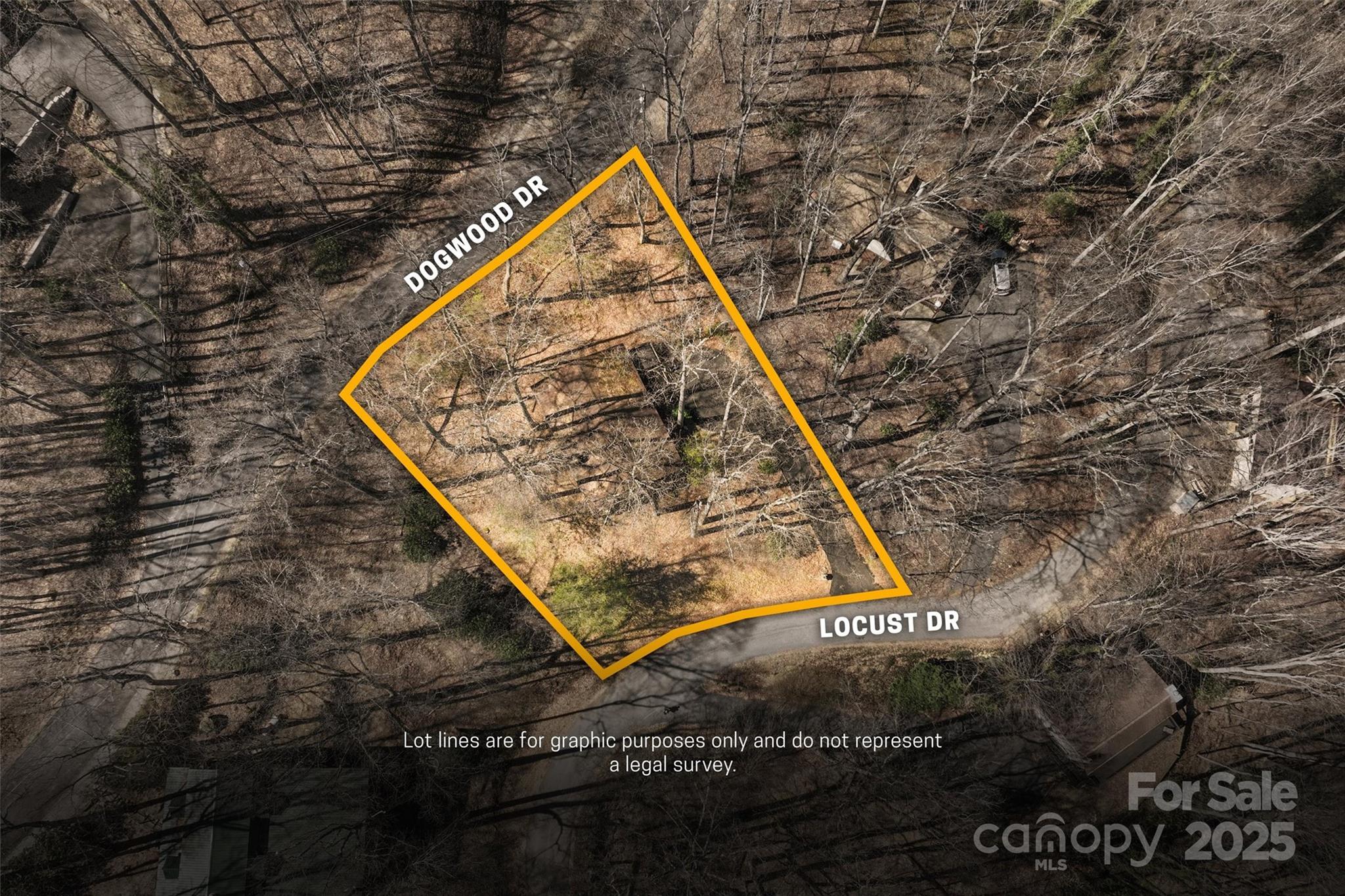 679 Locust Drive — Maggie Valley