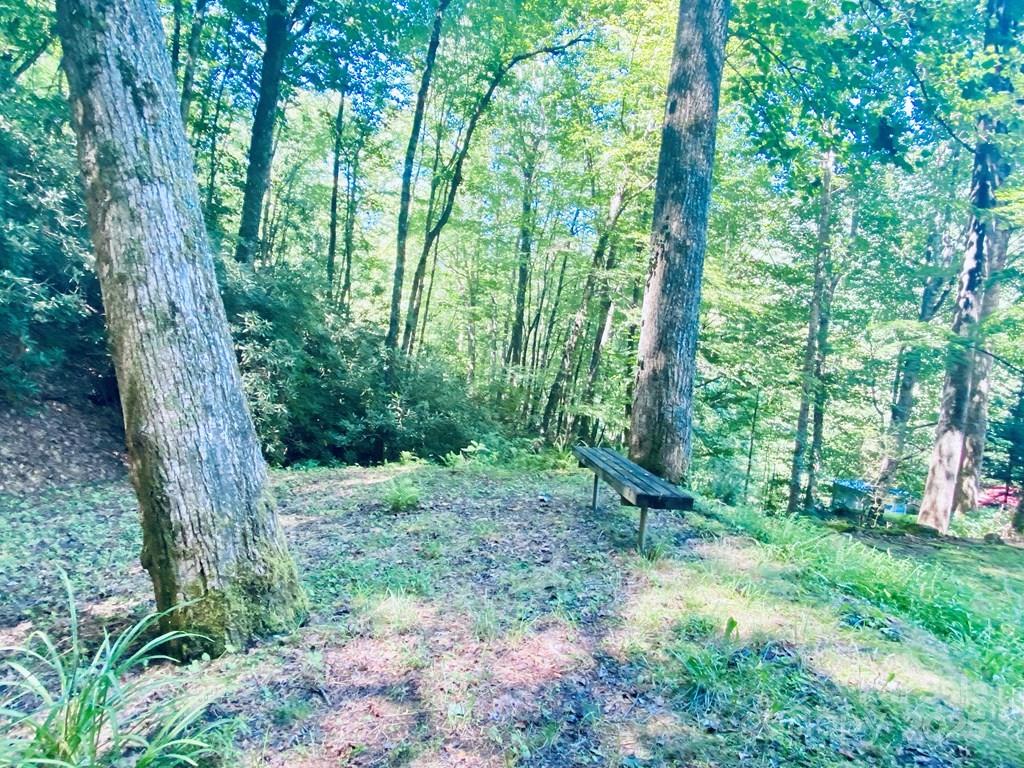100 Crosspatch Drive — Bryson City