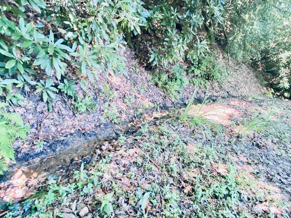100 Crosspatch Drive — Bryson City