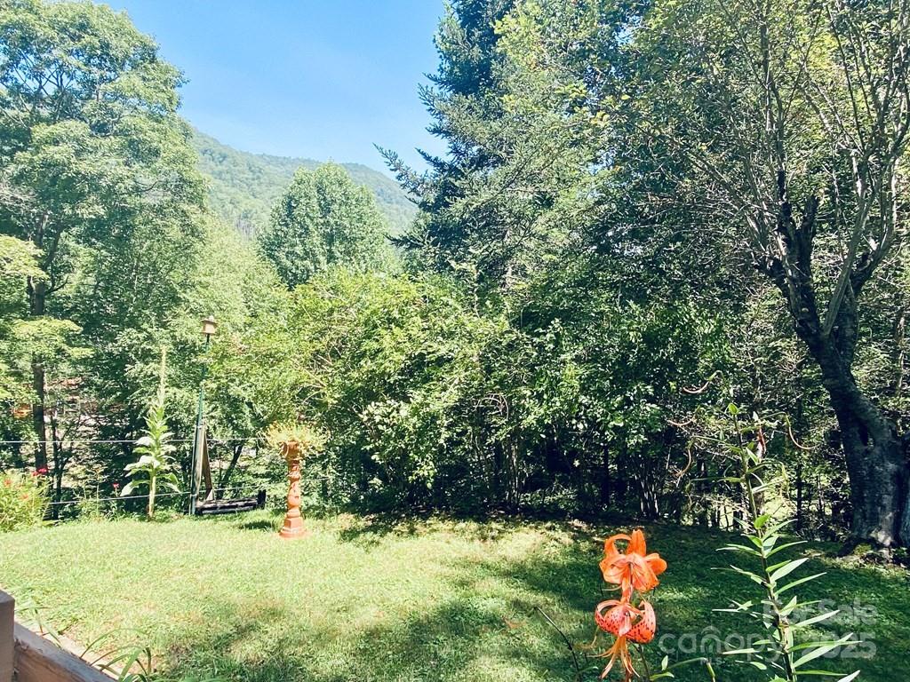 100 Crosspatch Drive — Bryson City