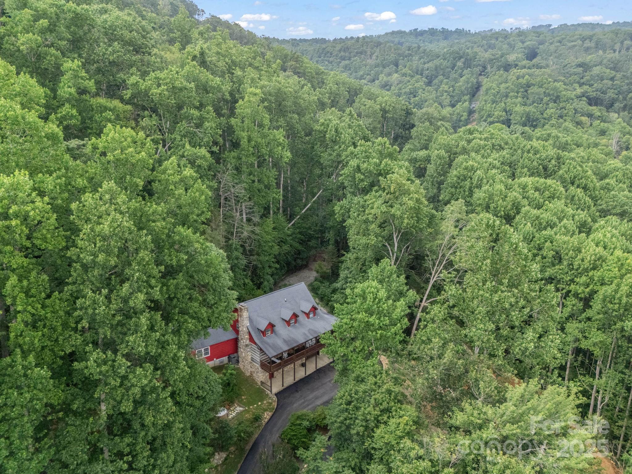 1145 Bearwallow Mountain Road — Hendersonville