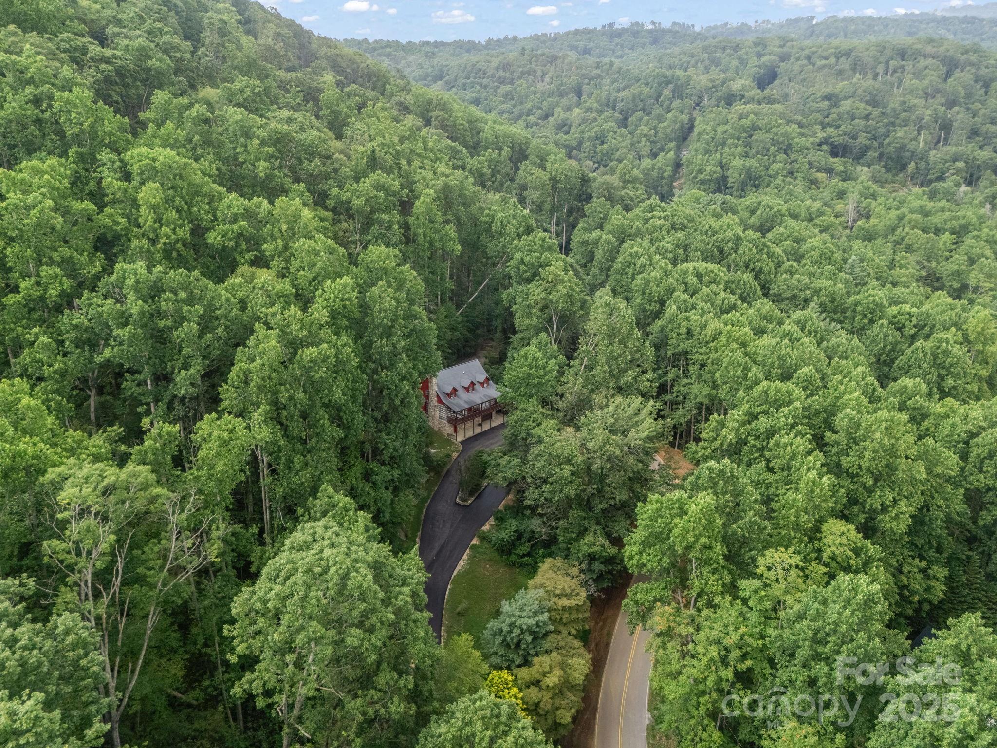 1145 Bearwallow Mountain Road — Hendersonville