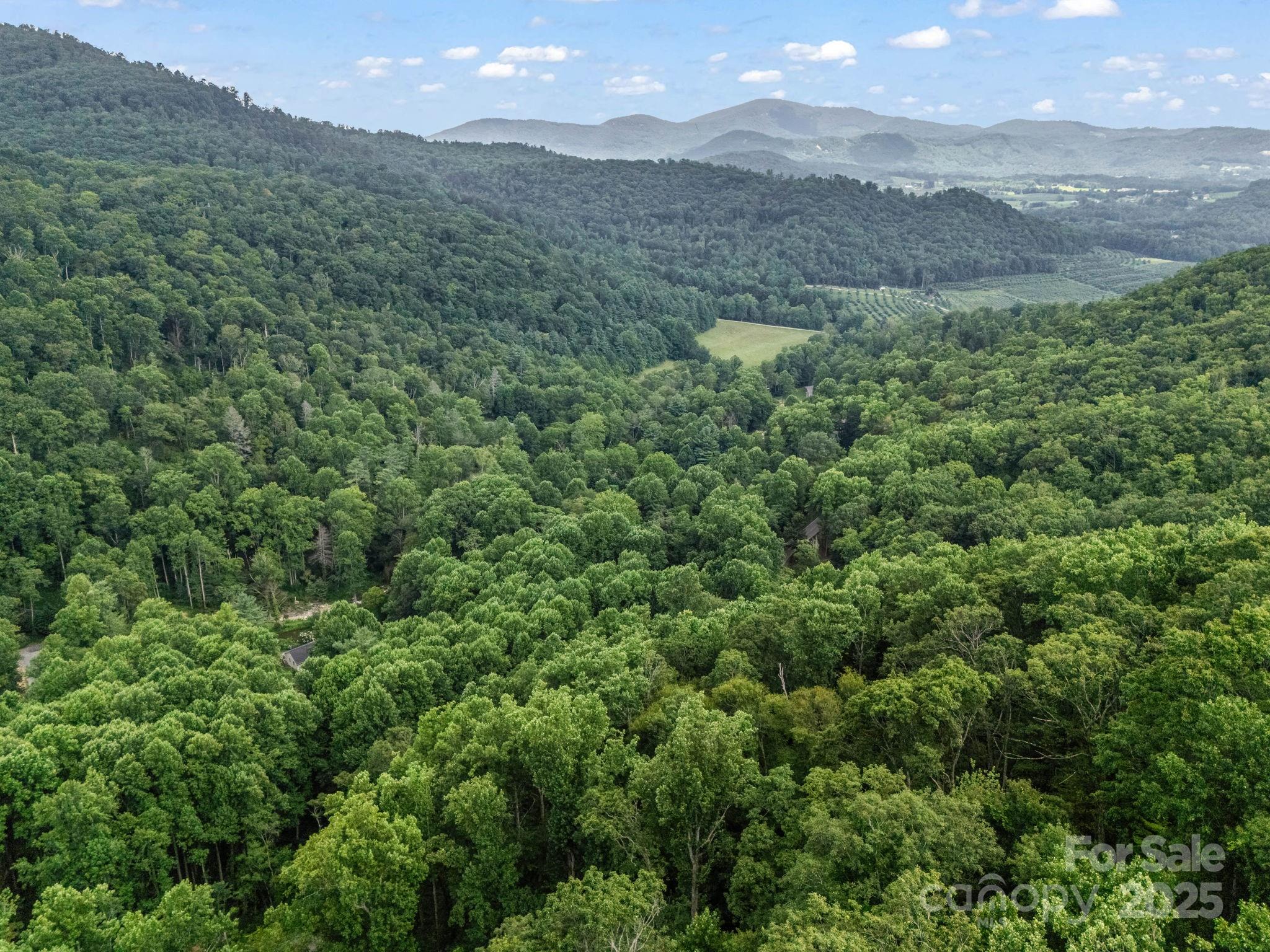 1145 Bearwallow Mountain Road — Hendersonville